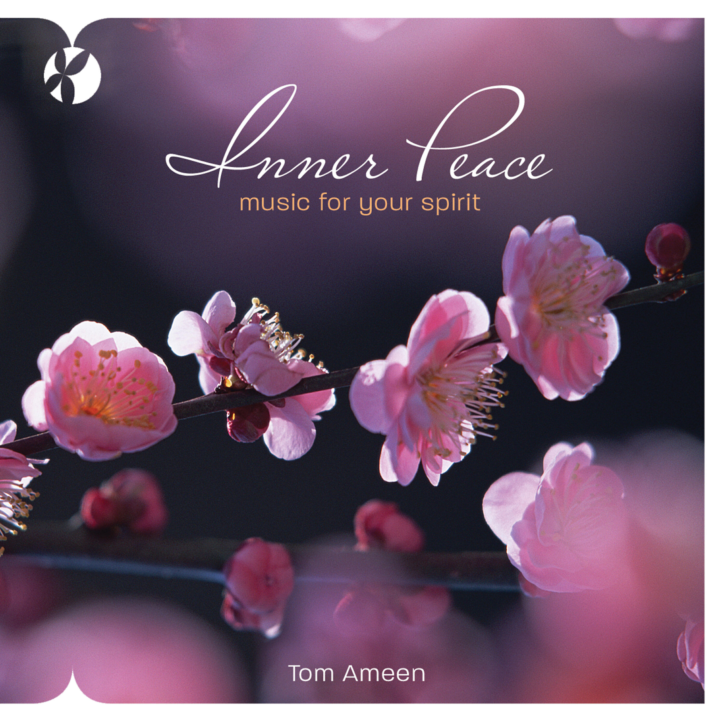 Tom Ameen - Silver Lining