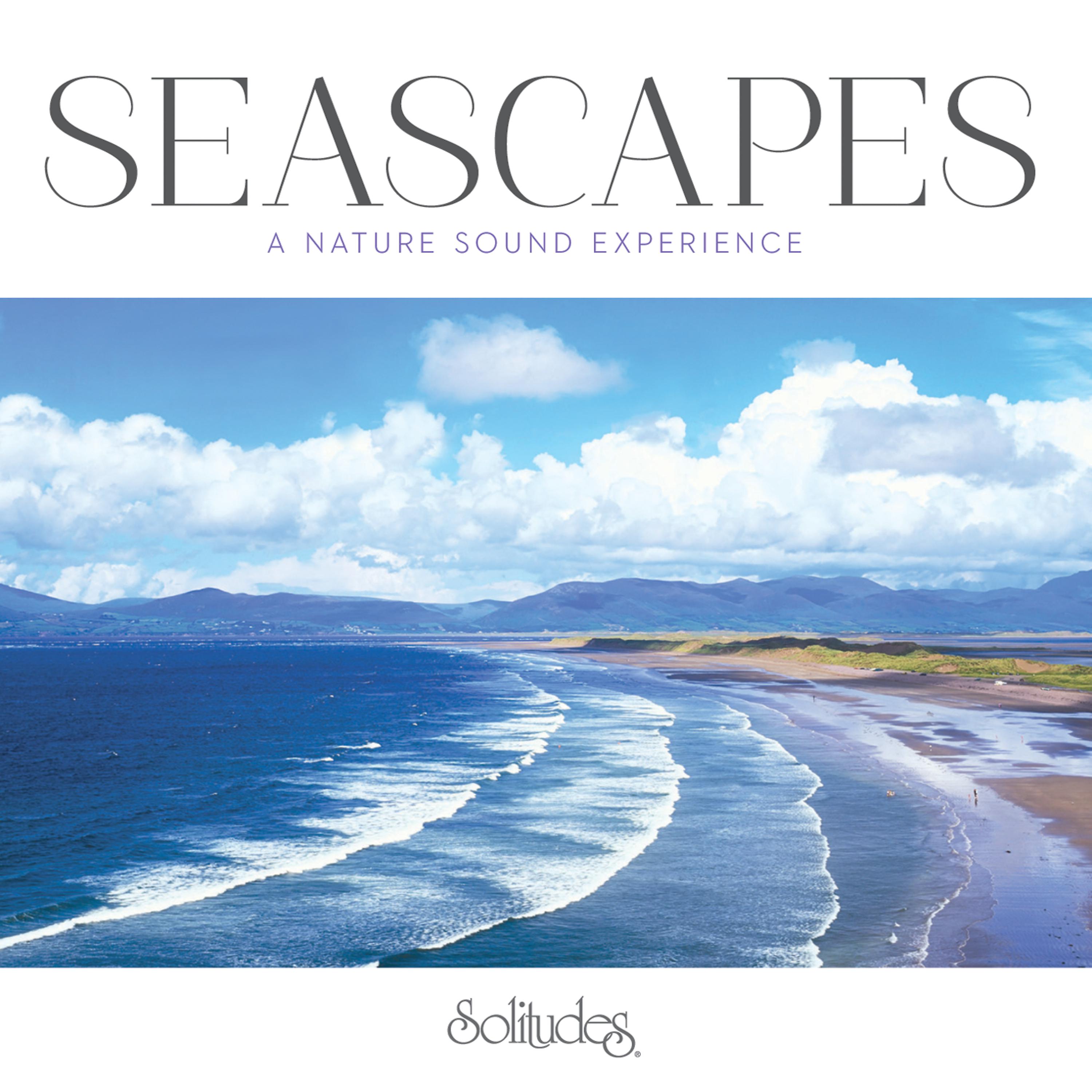 Постер альбома Seascapes