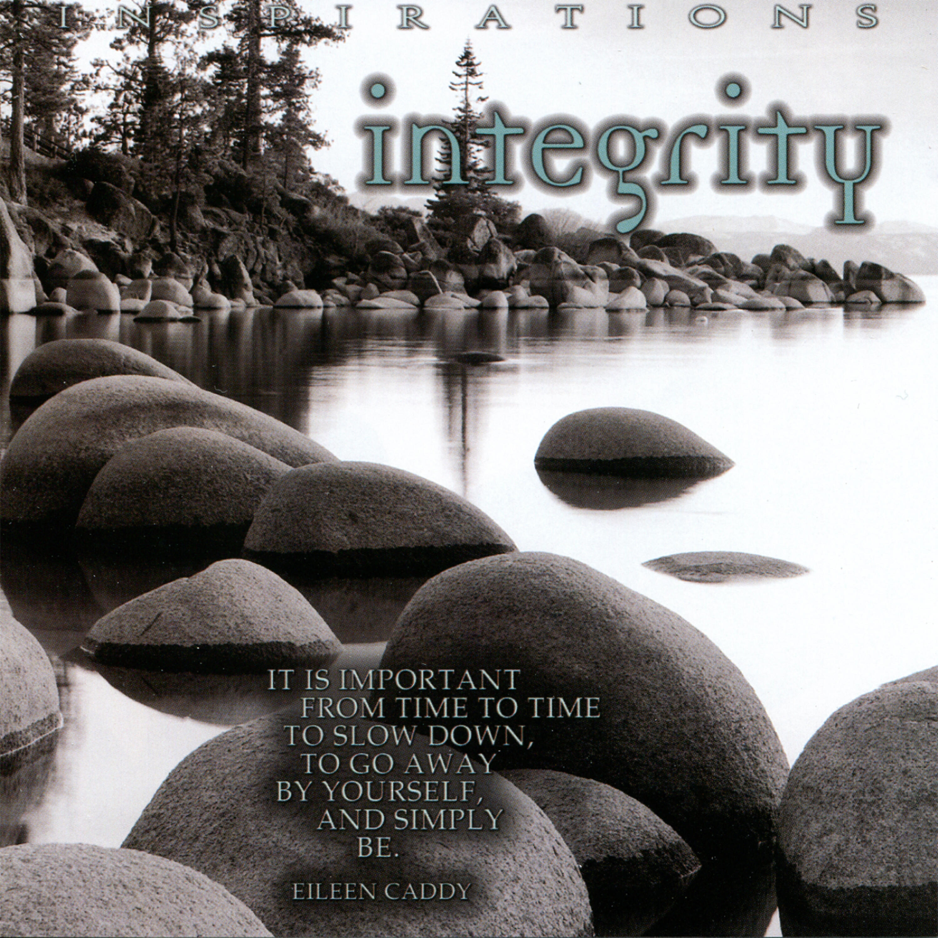 Dan Meyers - Integrity