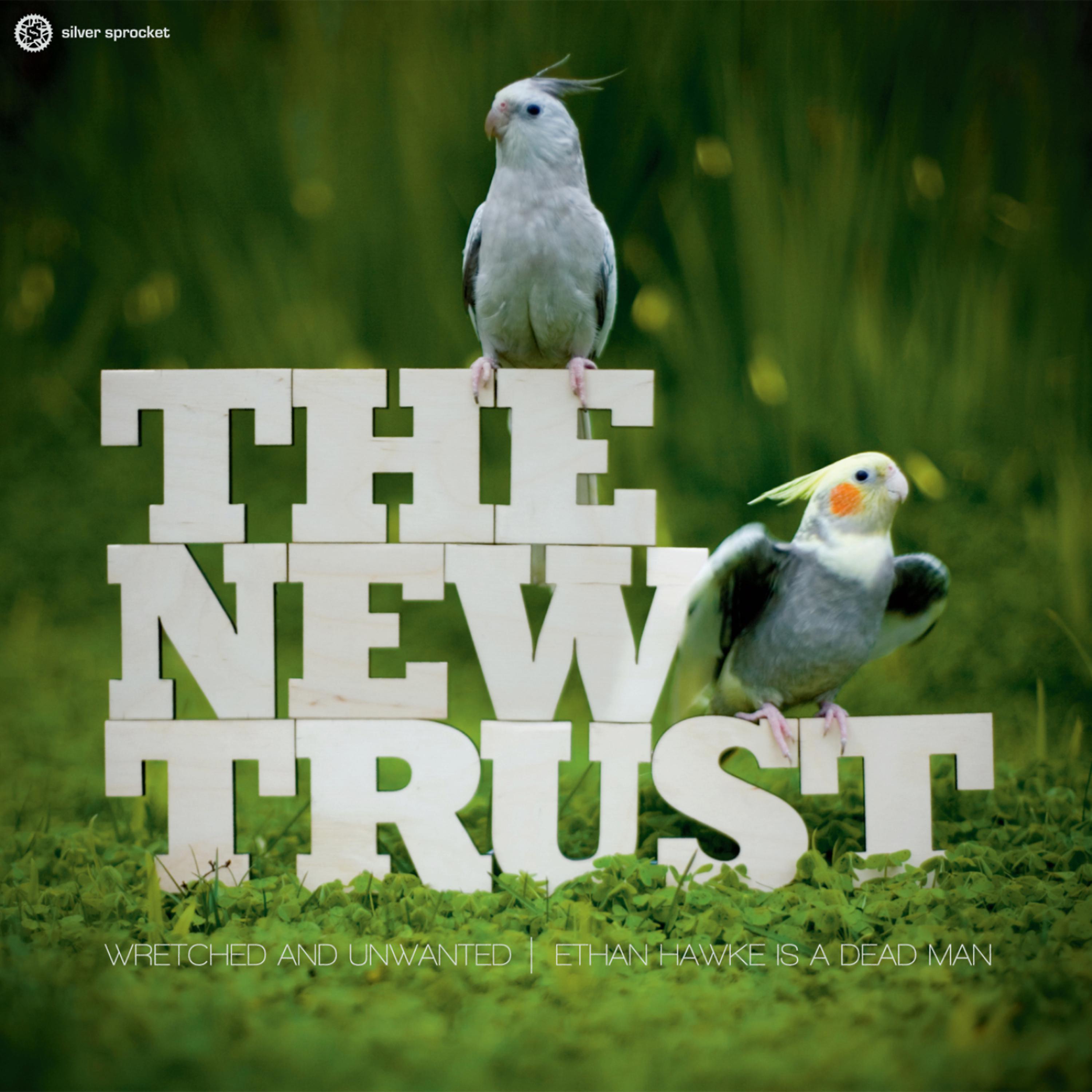 Постер альбома The New Trust / Pteradon - Split EP