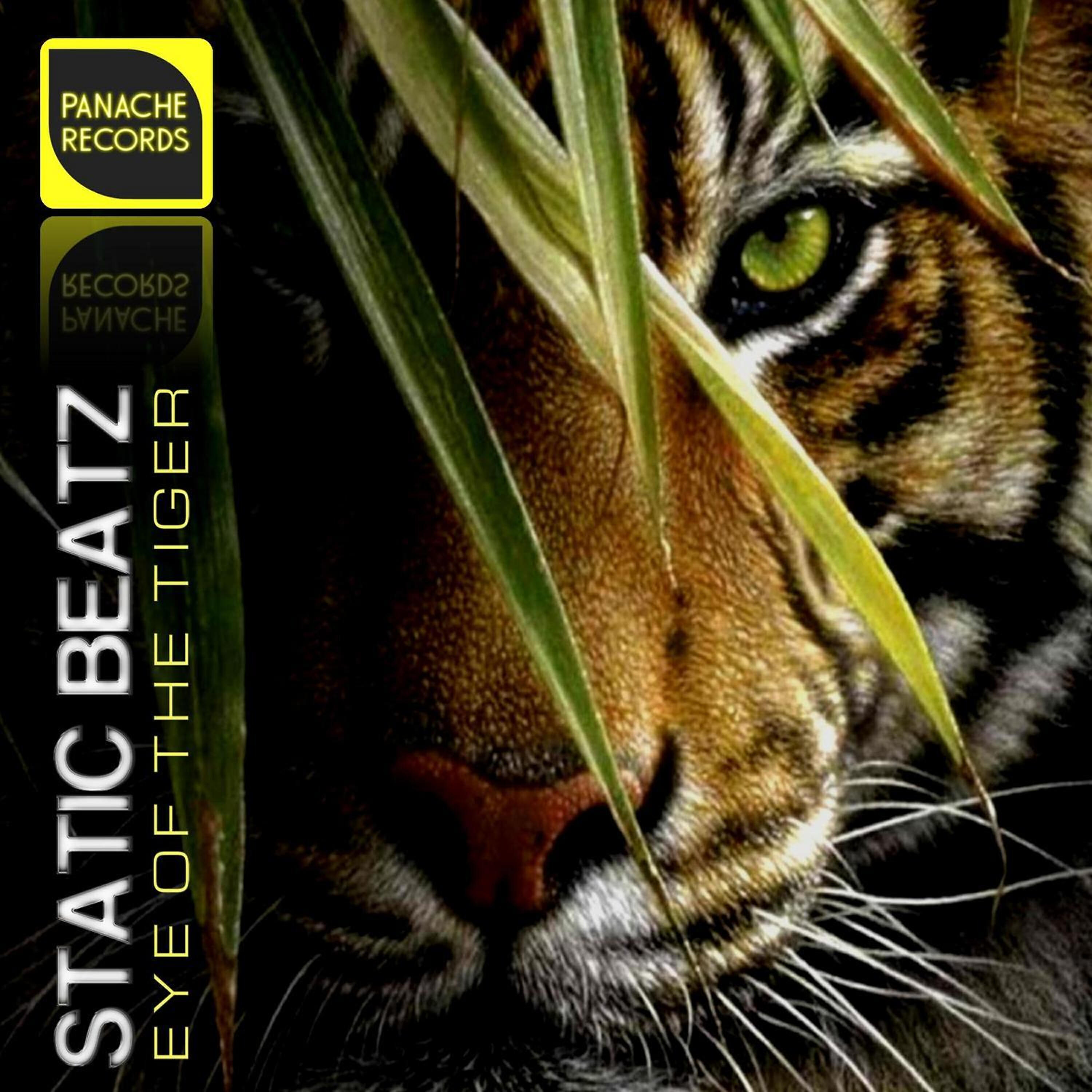 Survivor - Eye of the Tiger (EDM Festival Mix)