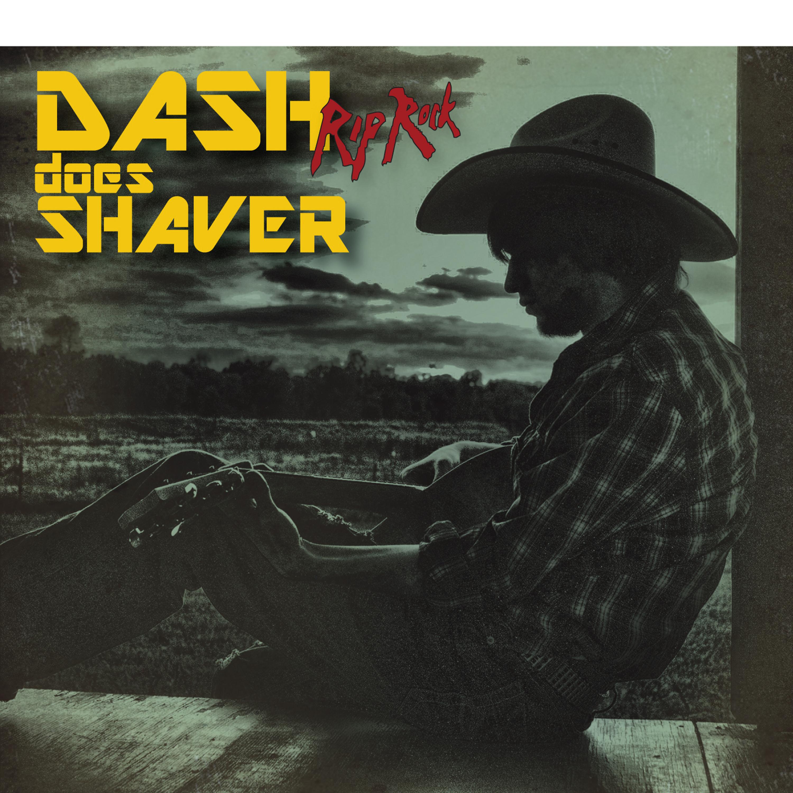 Постер альбома Dash Does Shaver