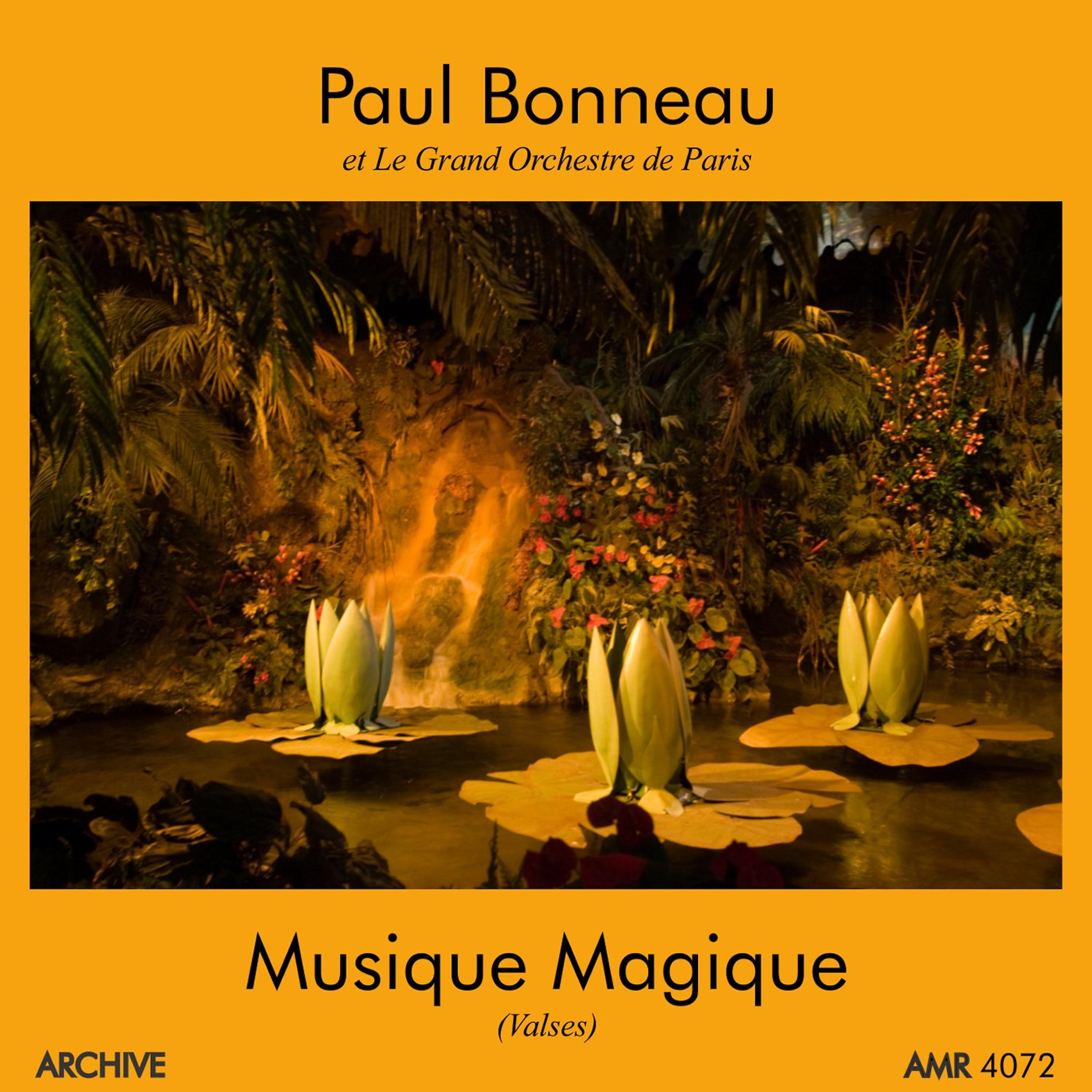 Постер альбома Musique Magiques (Valses)
