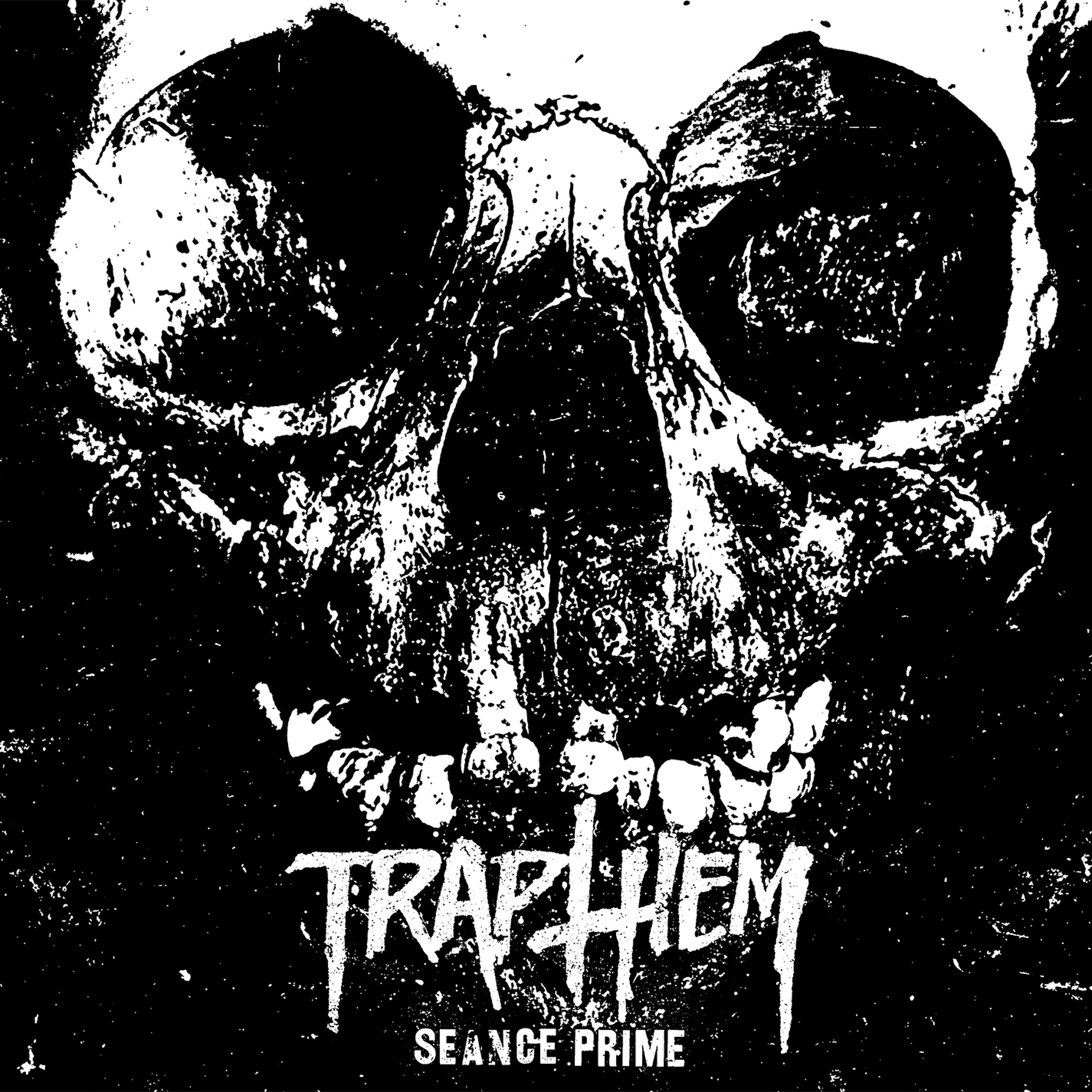 Trap Them - Day Fourteen: Pulse Mavens
