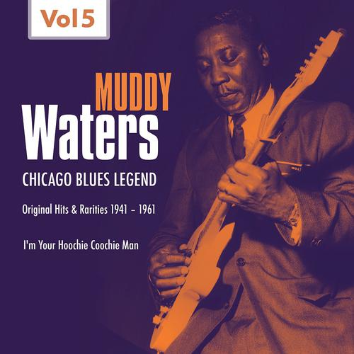 Постер альбома Muddy Waters - Original Hits & Rarities (1941 - 1961, Vol. 5)