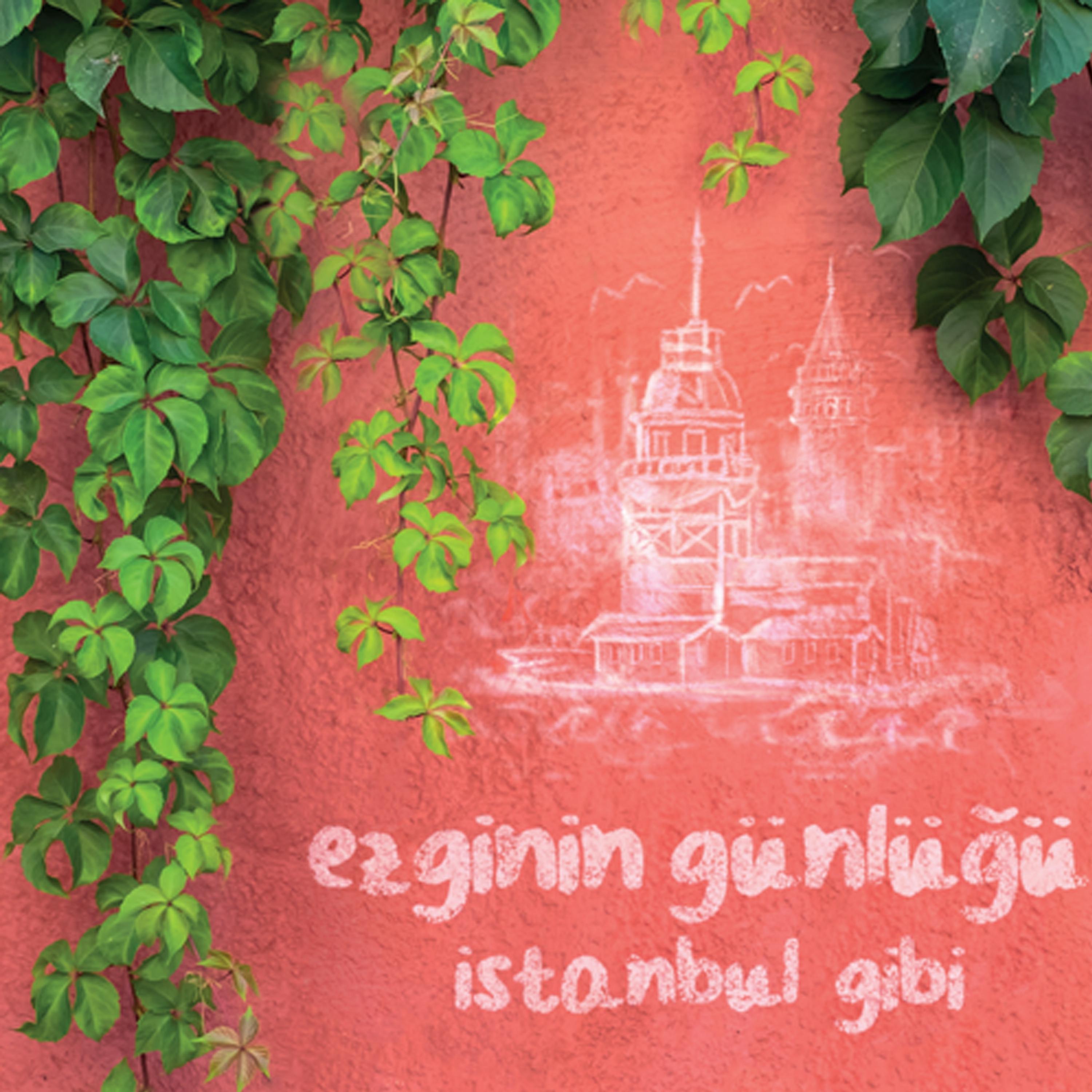 Постер альбома İstanbul Gibi