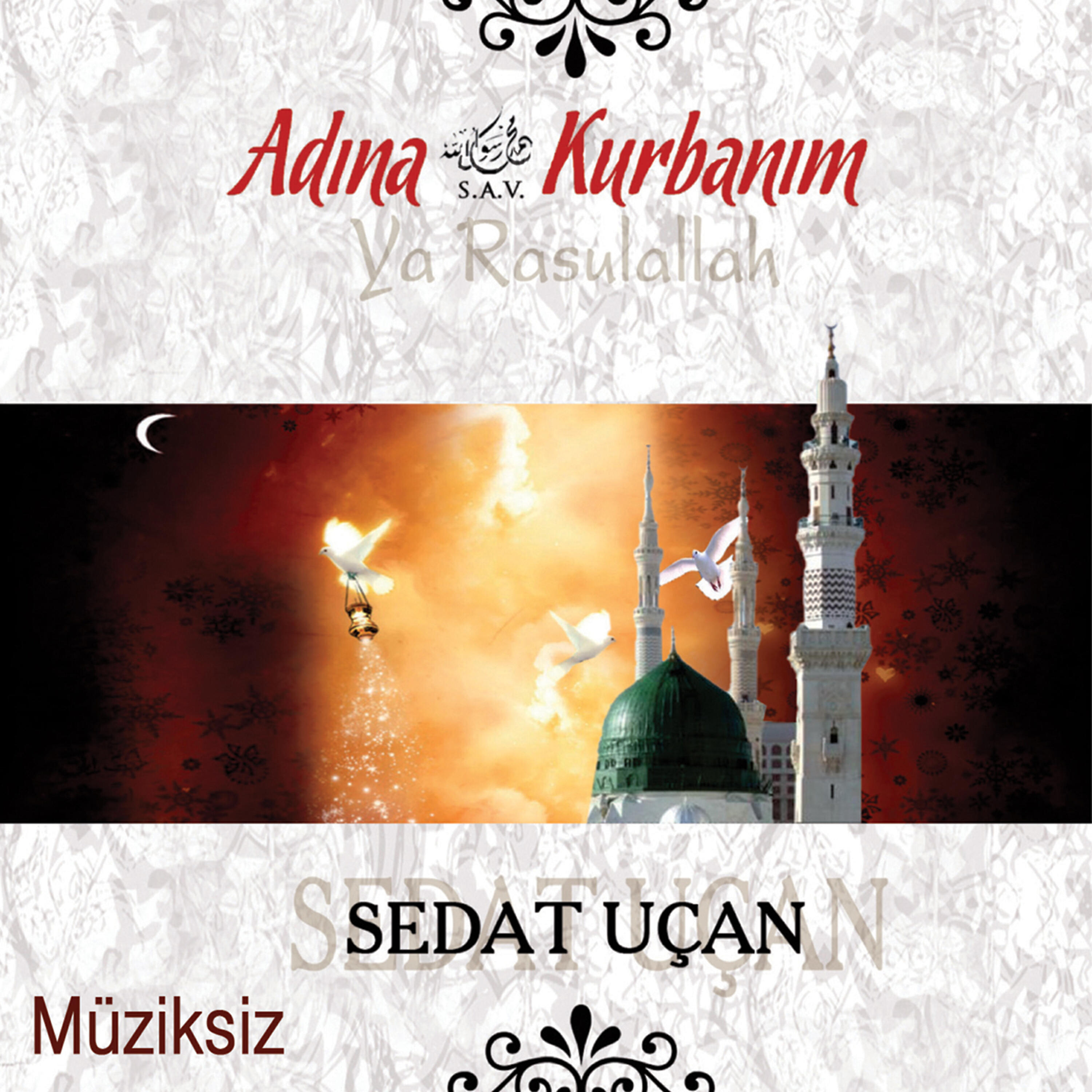 Sedat Uçan - Mecnunun Olmuşum Ya Rasulallah