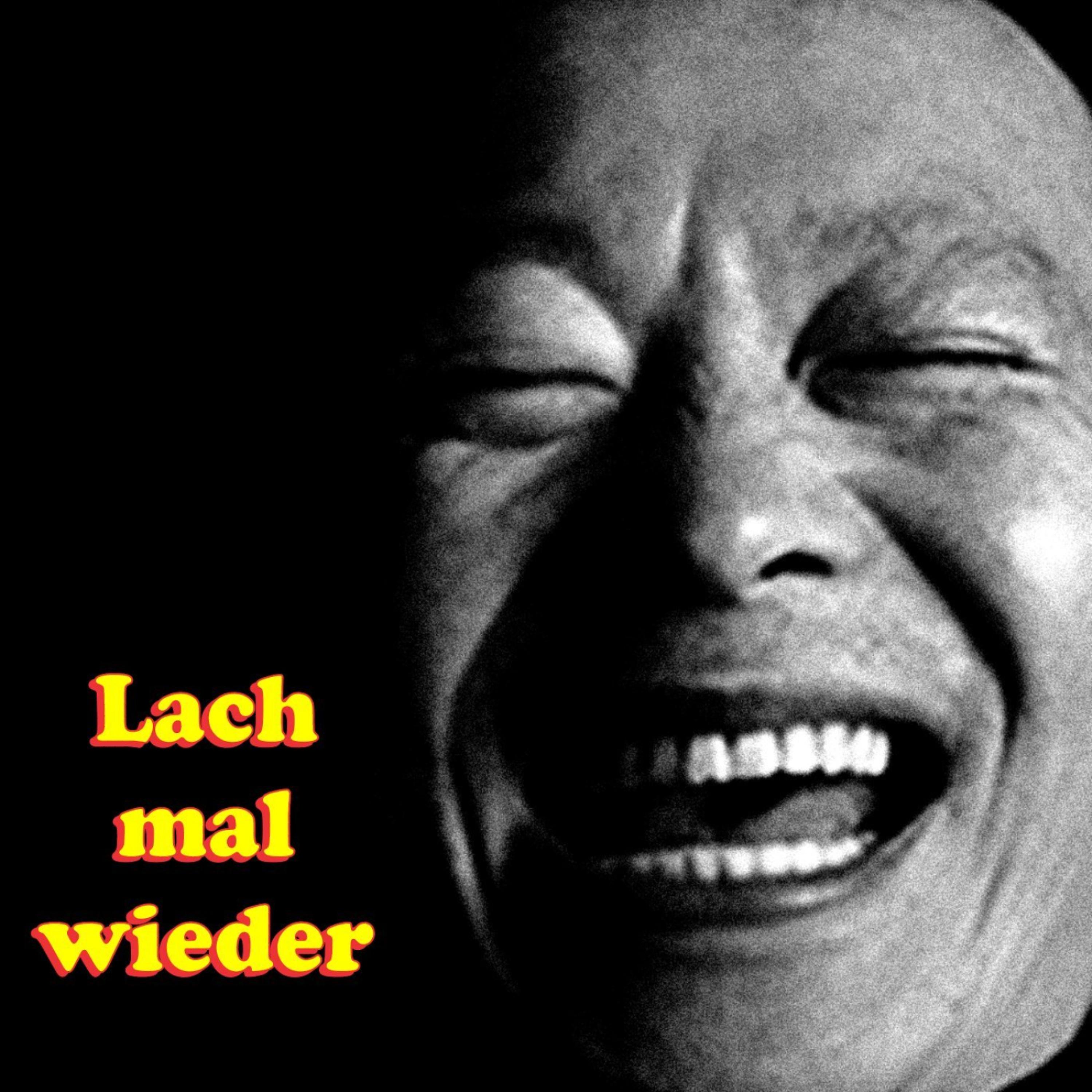 Постер альбома Lach mal wieder