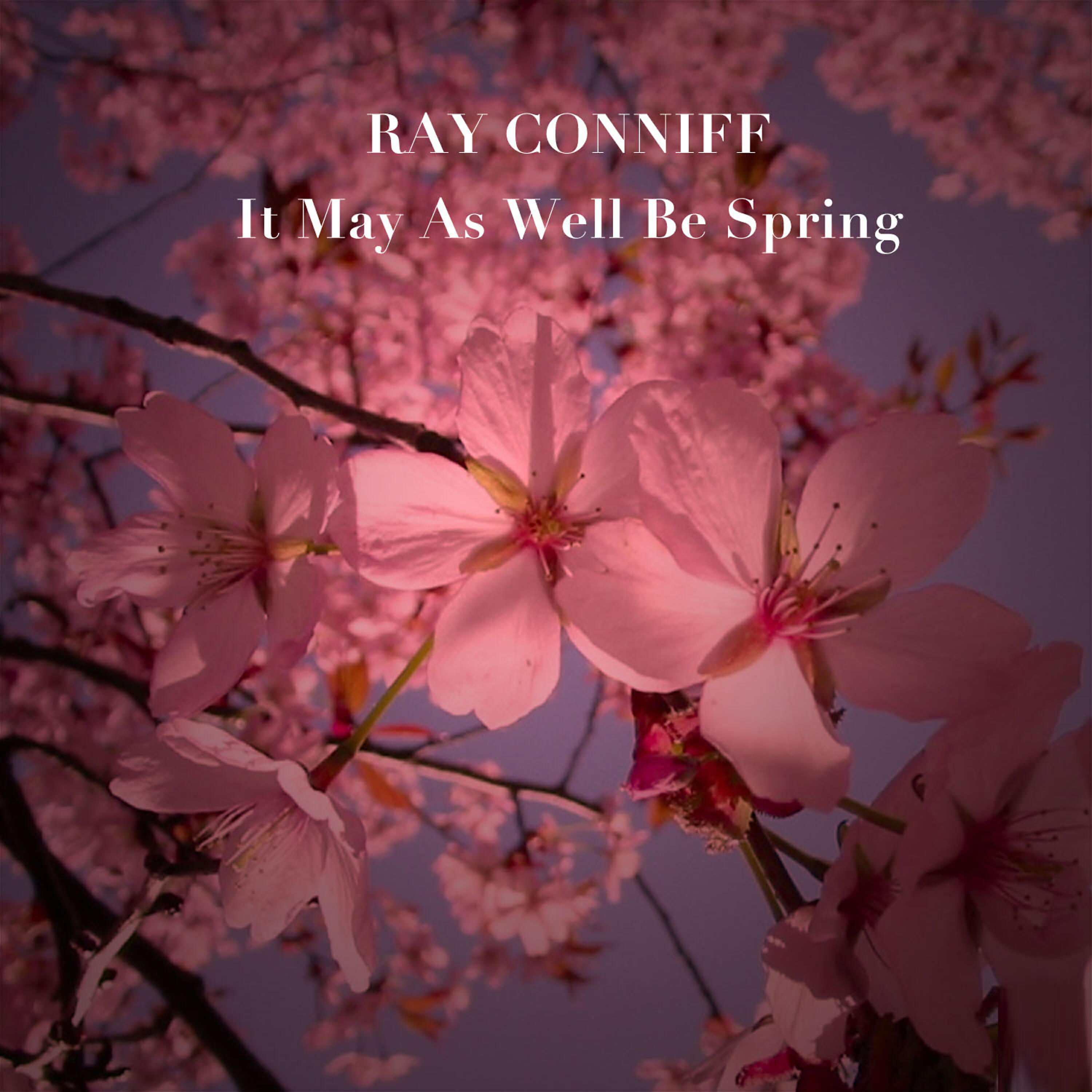 Ray Conniff - My Heart Stood Still (Album Version)