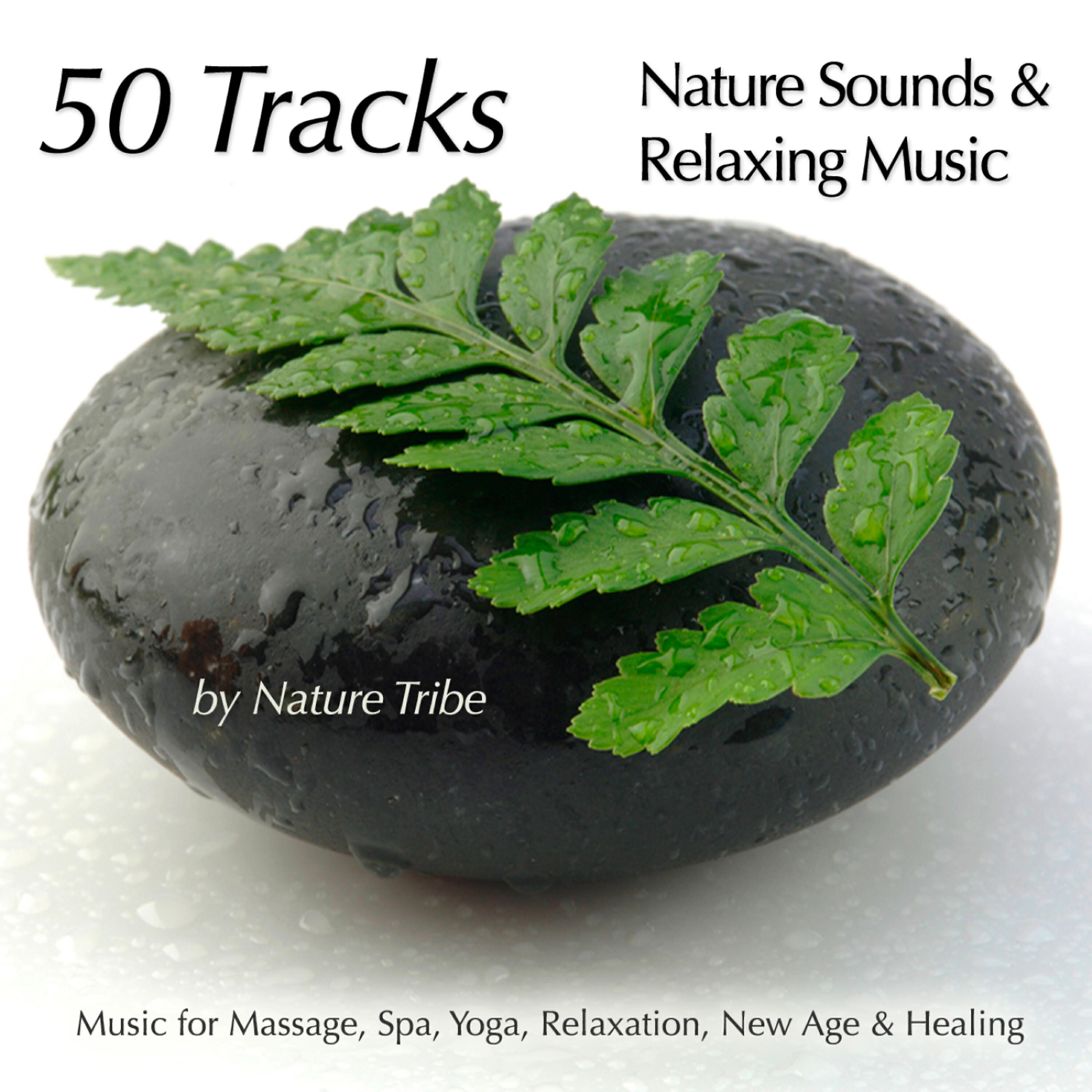 Nature Tribe - Falling Asleep with Nature (Night Sounds & Native Flute for Relaxation)