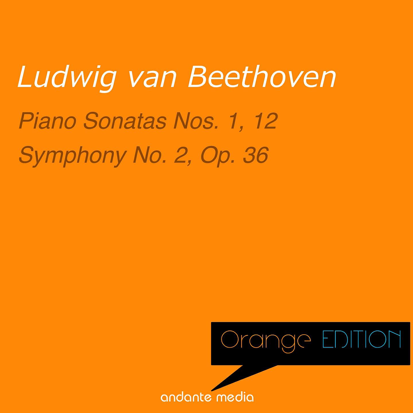 Bamberg Symphony - Symphony No. 2 in D Major, Op. 36: IV. Allegro molto