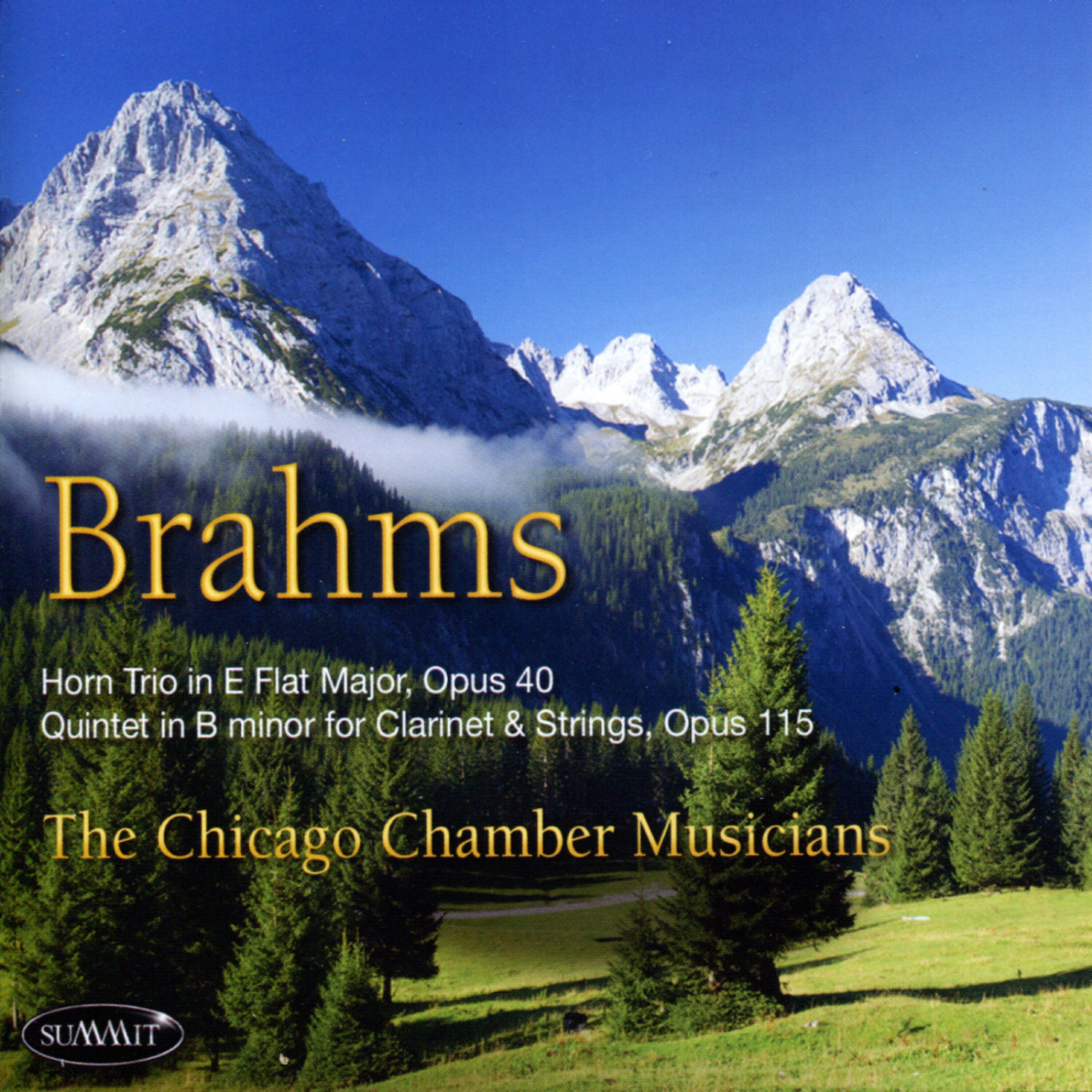 The Chicago Chamber Musicians - Quintet in B Minor for Clarinet and Strings, Op. 115: Allegro