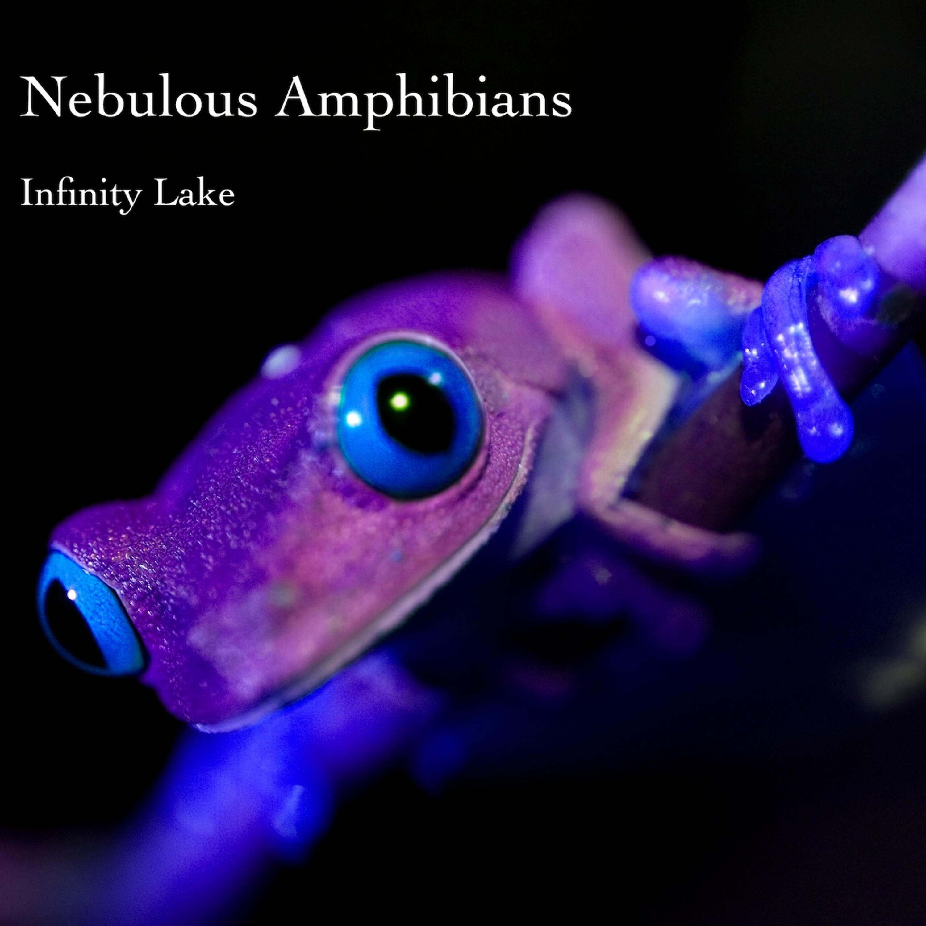 Nebulous Amphibians - Slipstream Agenda