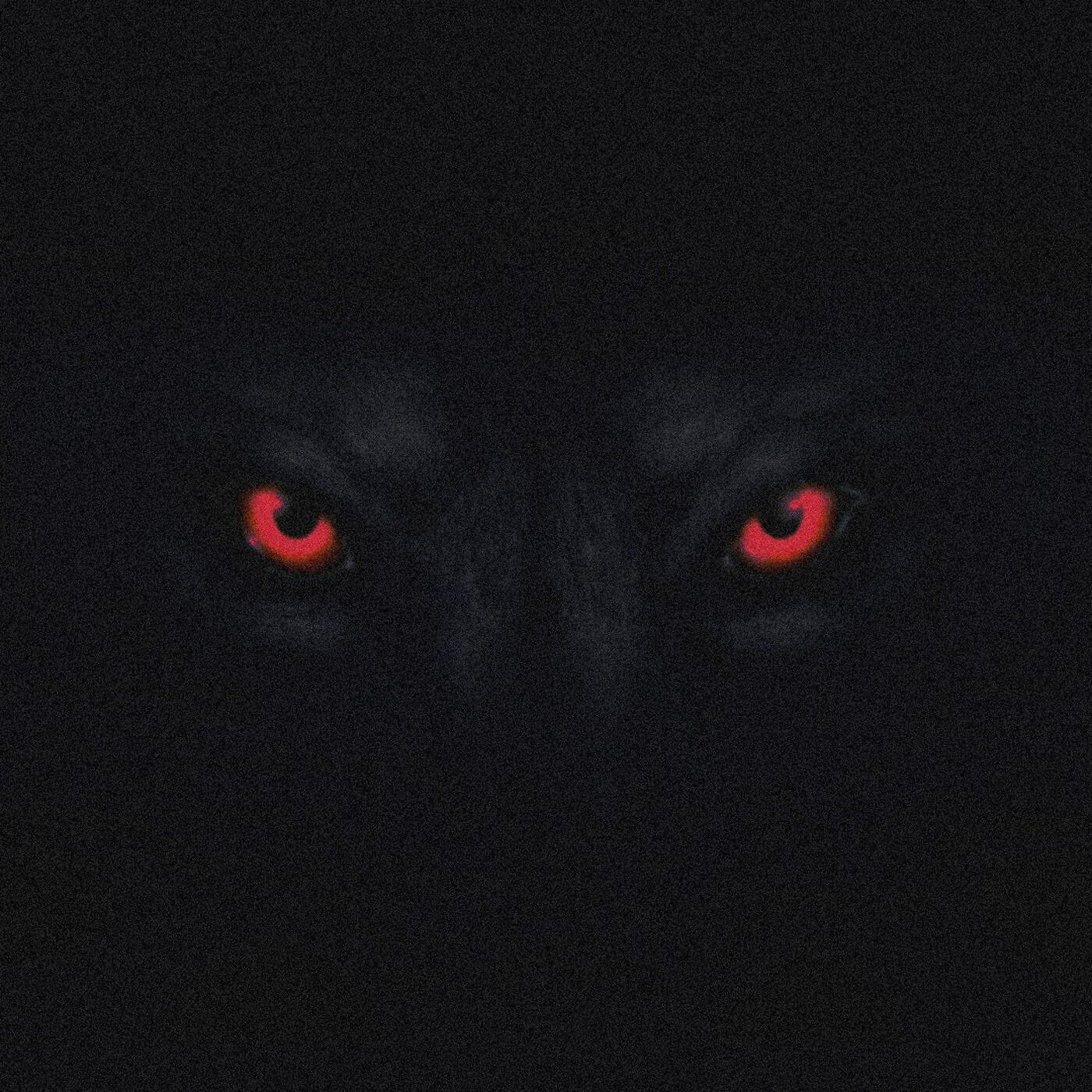 Noriin Rad - Sirius Black