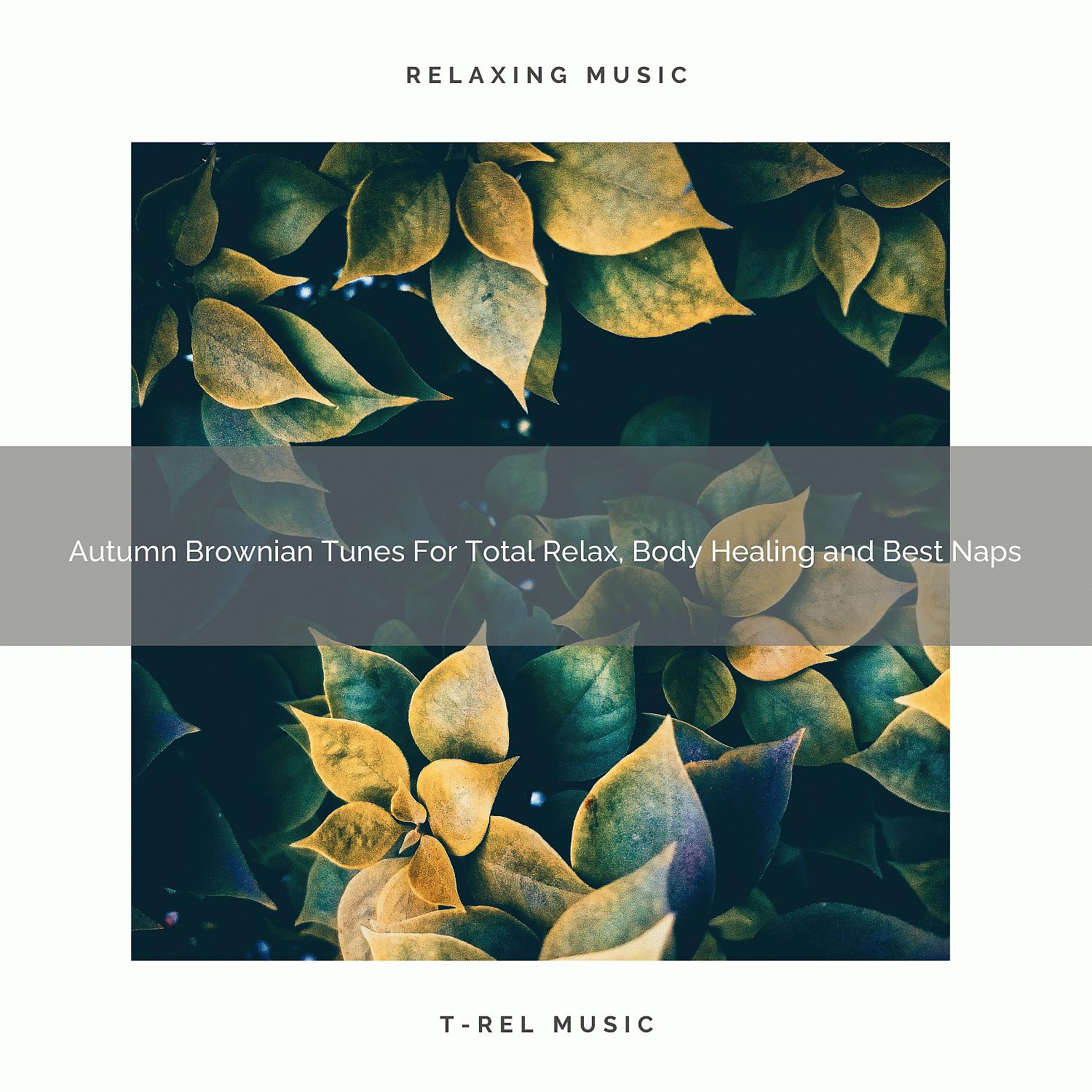 Постер альбома Autumn Brownian Tunes For Total Relax, Body Healing and Best Naps