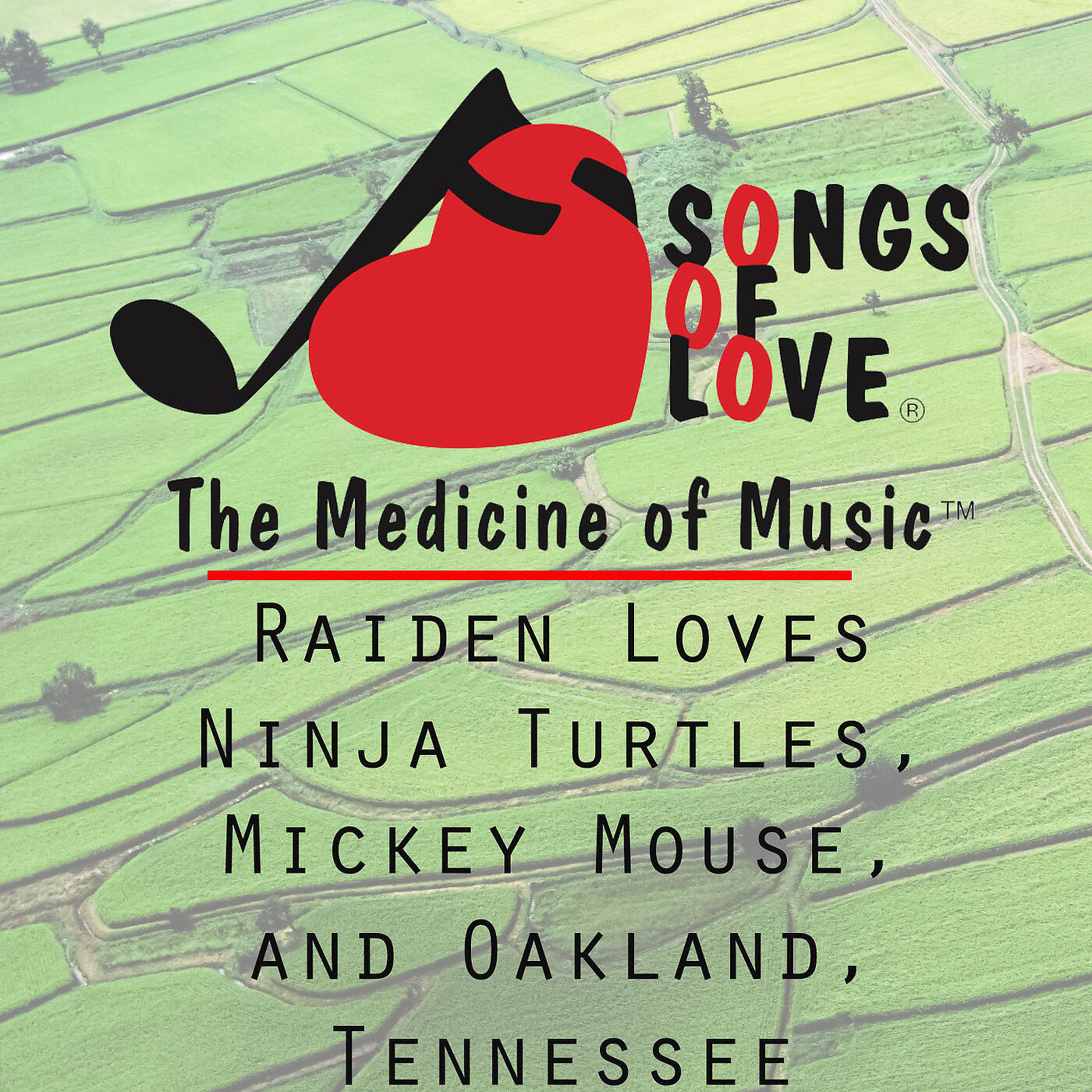 L. Diggs - Raiden Loves Ninja Turtles, Mickey Mouse, and Oakland, Tennessee