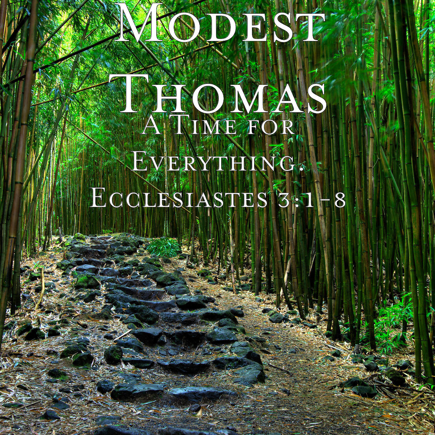 Modest Thomas - Fall Season