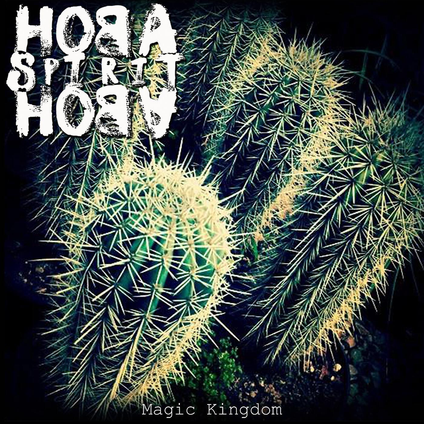 Hoba Hoba Spirit - Magic Kingdom