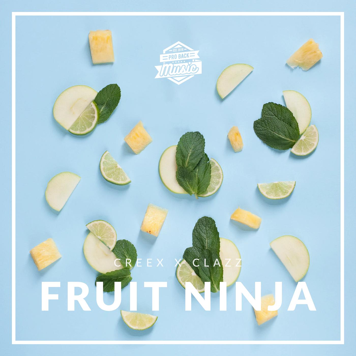 Постер альбома Fruit Ninja