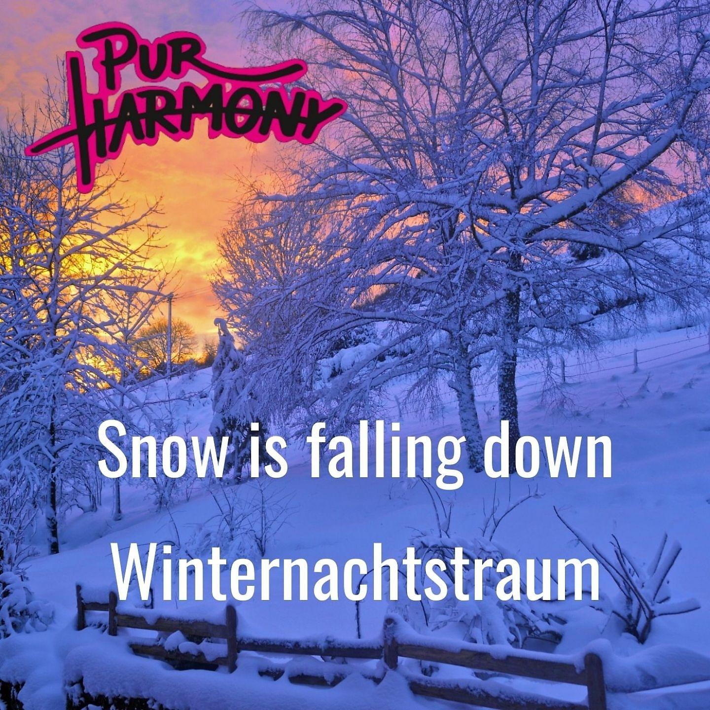 Постер альбома Snow Is Falling Down / Winternachtstraum