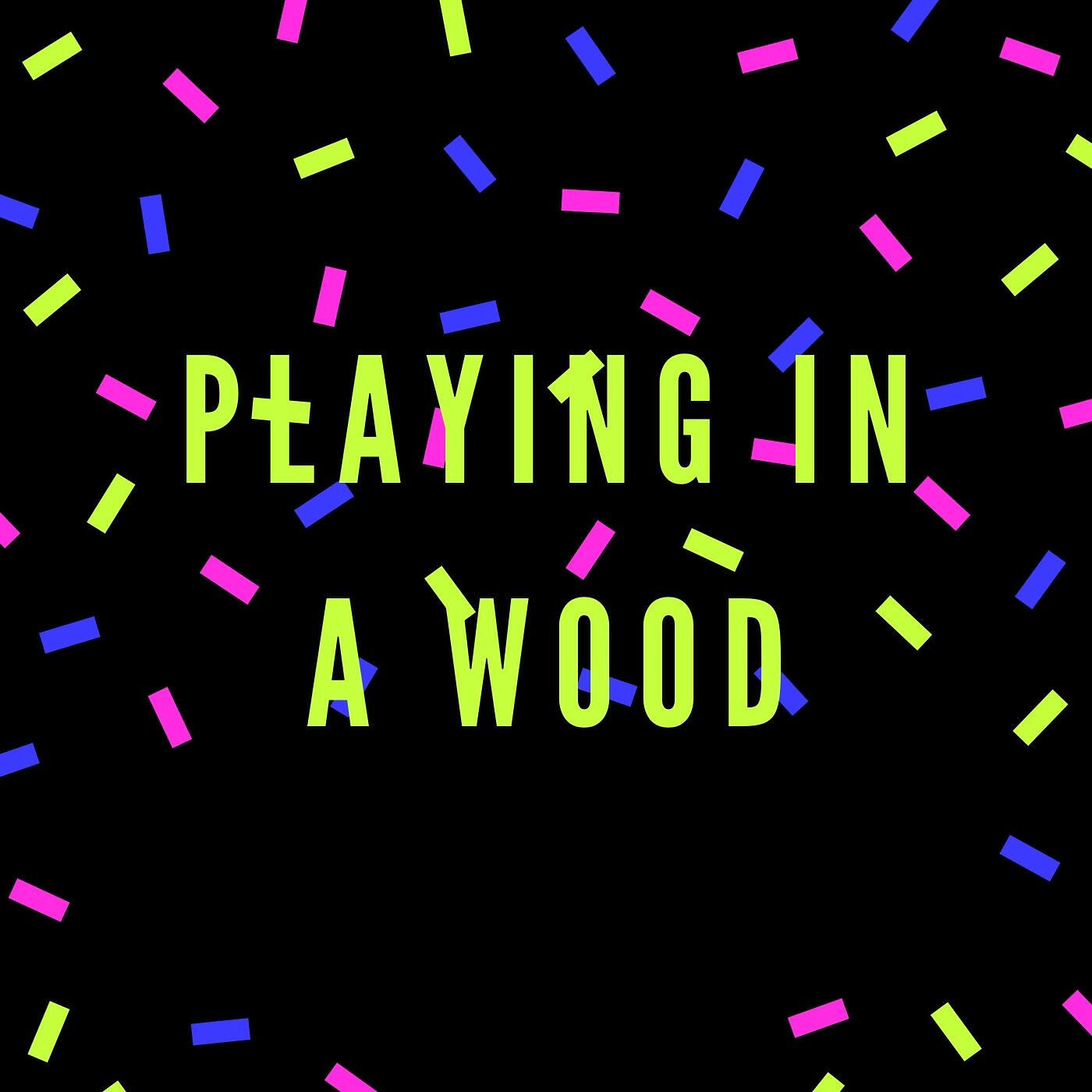 SASH - Playing in a Wood