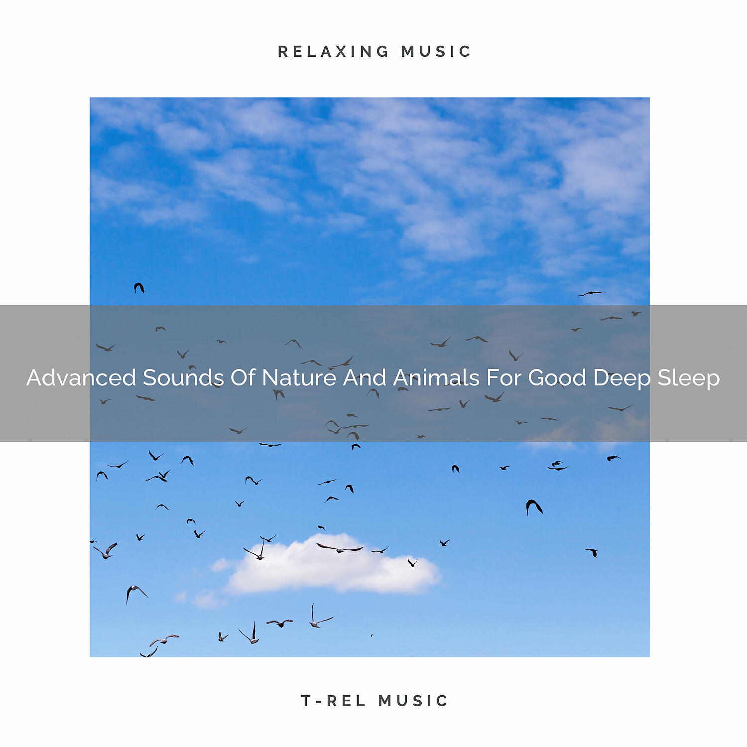 Nature Sound Series - Dreamy Sounds Of Nature And Water For Delicious Absolute Recharge