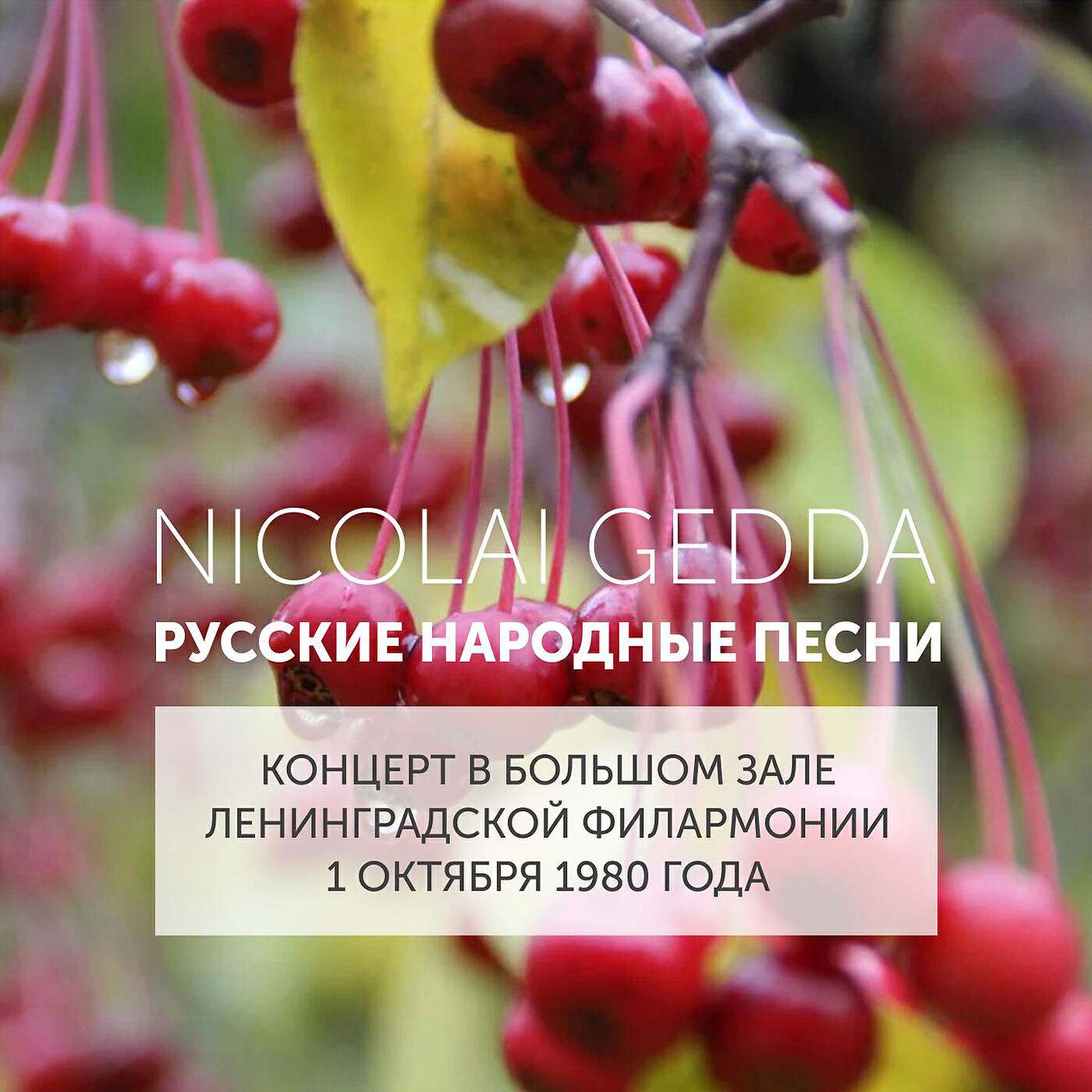 Nicolai Gedda - Вот мчится тройка почтовая