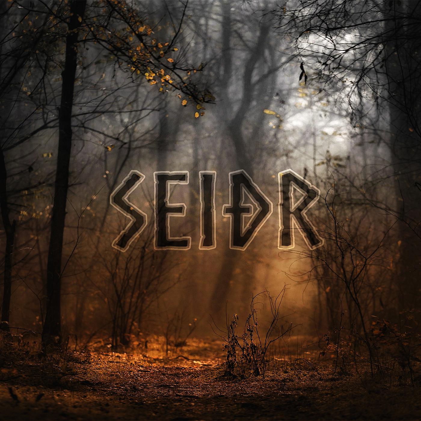 Постер альбома Seidr