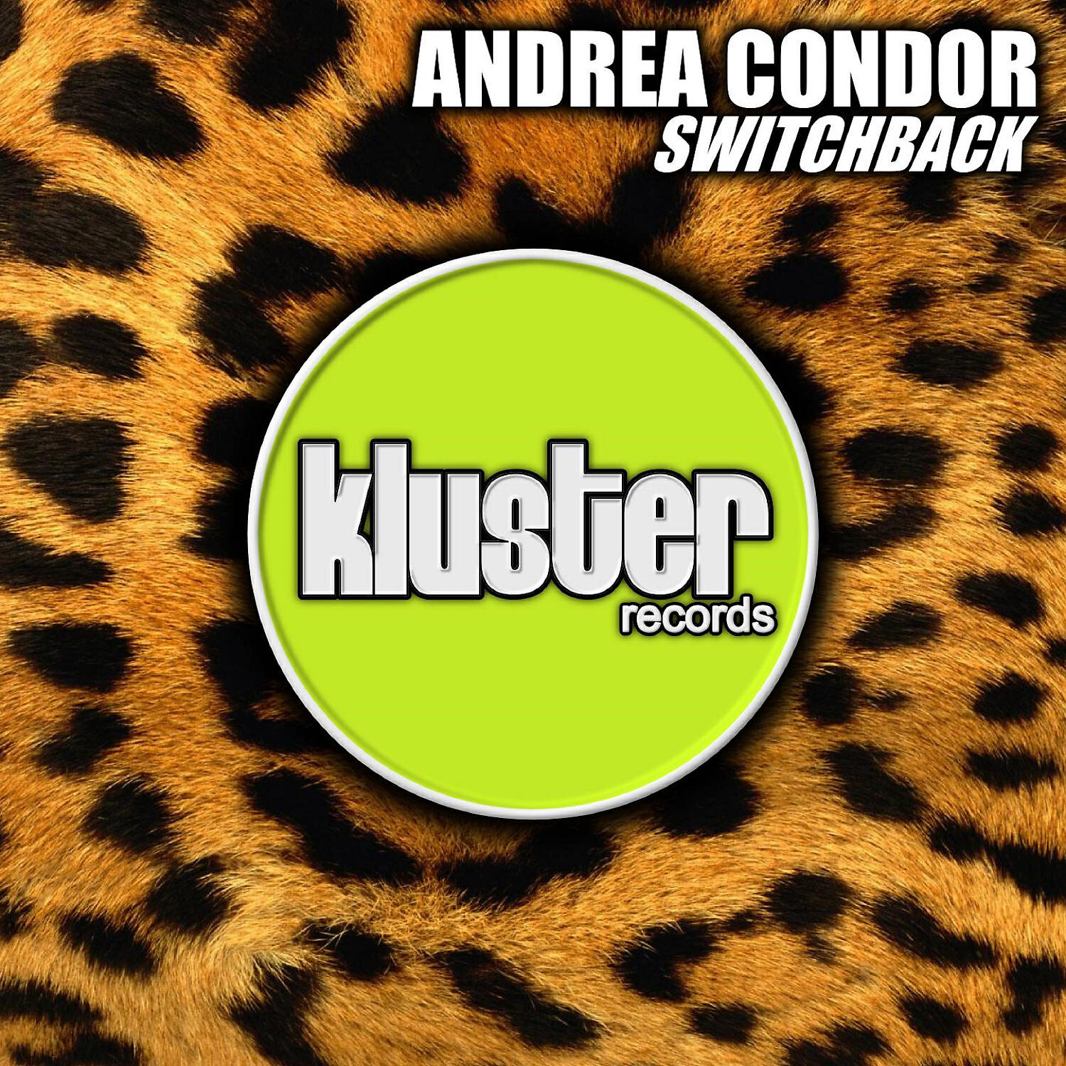 Andrea Condor - Switchback