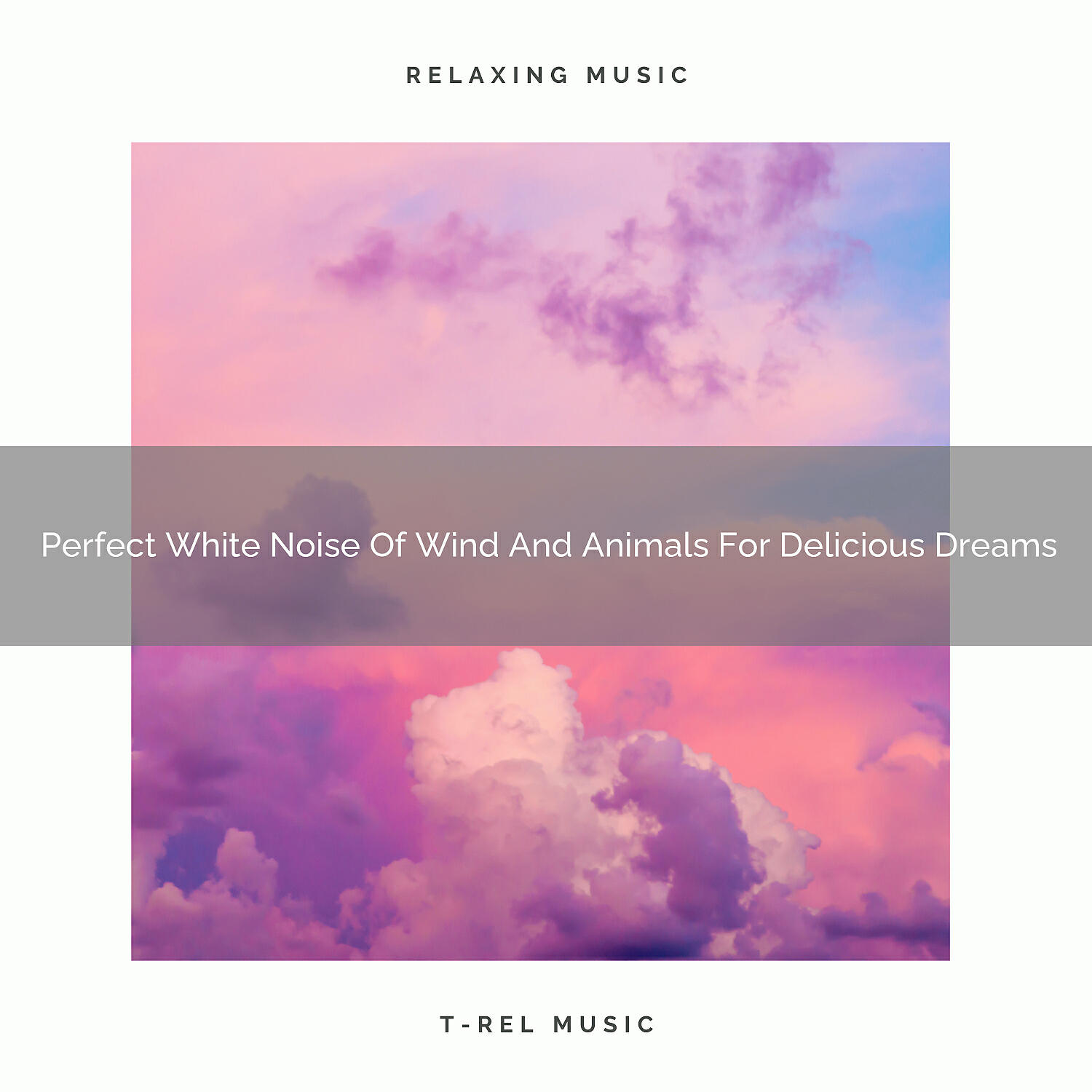 Dreamy White Noise - Beautiful Noises Of Ocean And Animals For Ultra Sleep