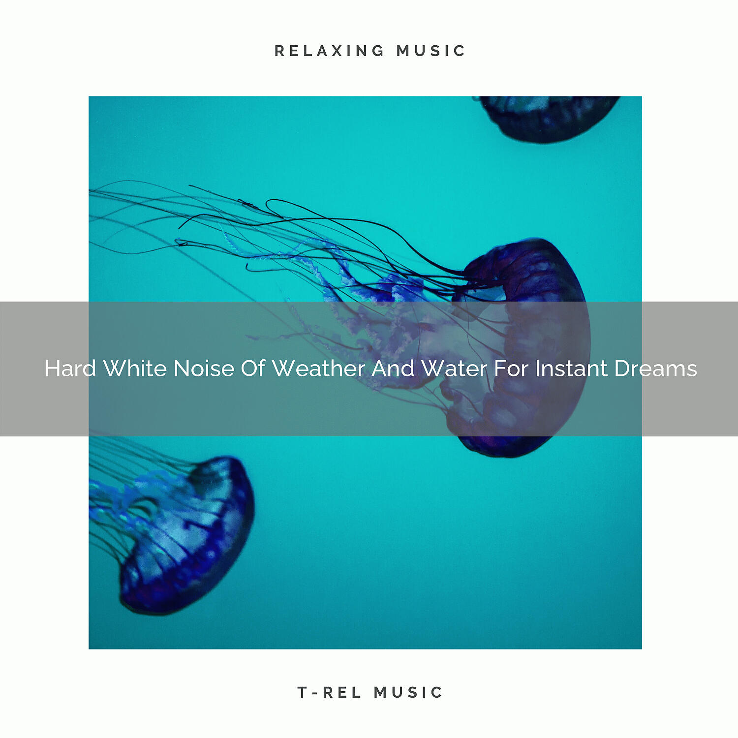 Noise Gravity - Noises Of Nature And Animals For Delicious Nap