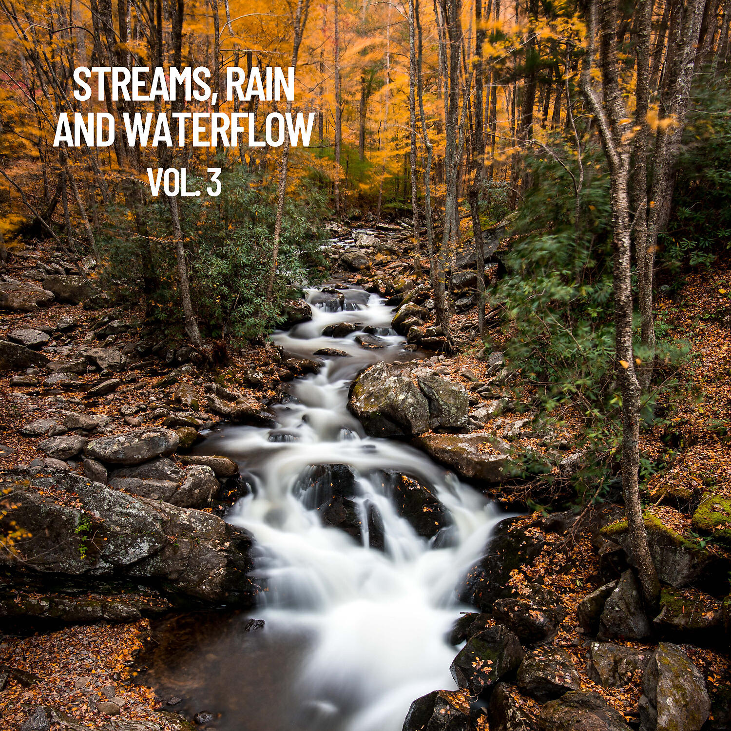 Rivers - Canyon River