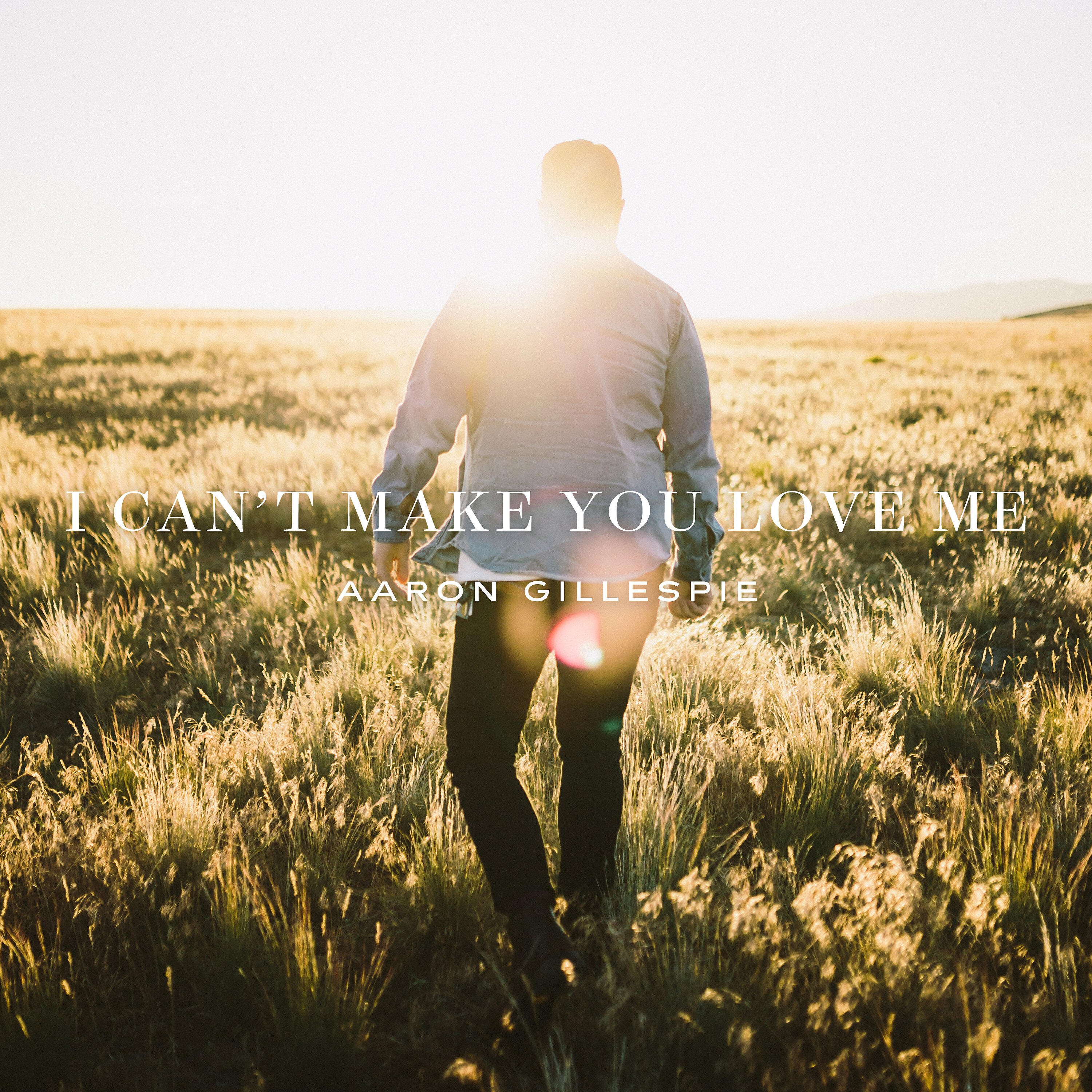 Aaron Gillespie - I Can't Make You Love Me