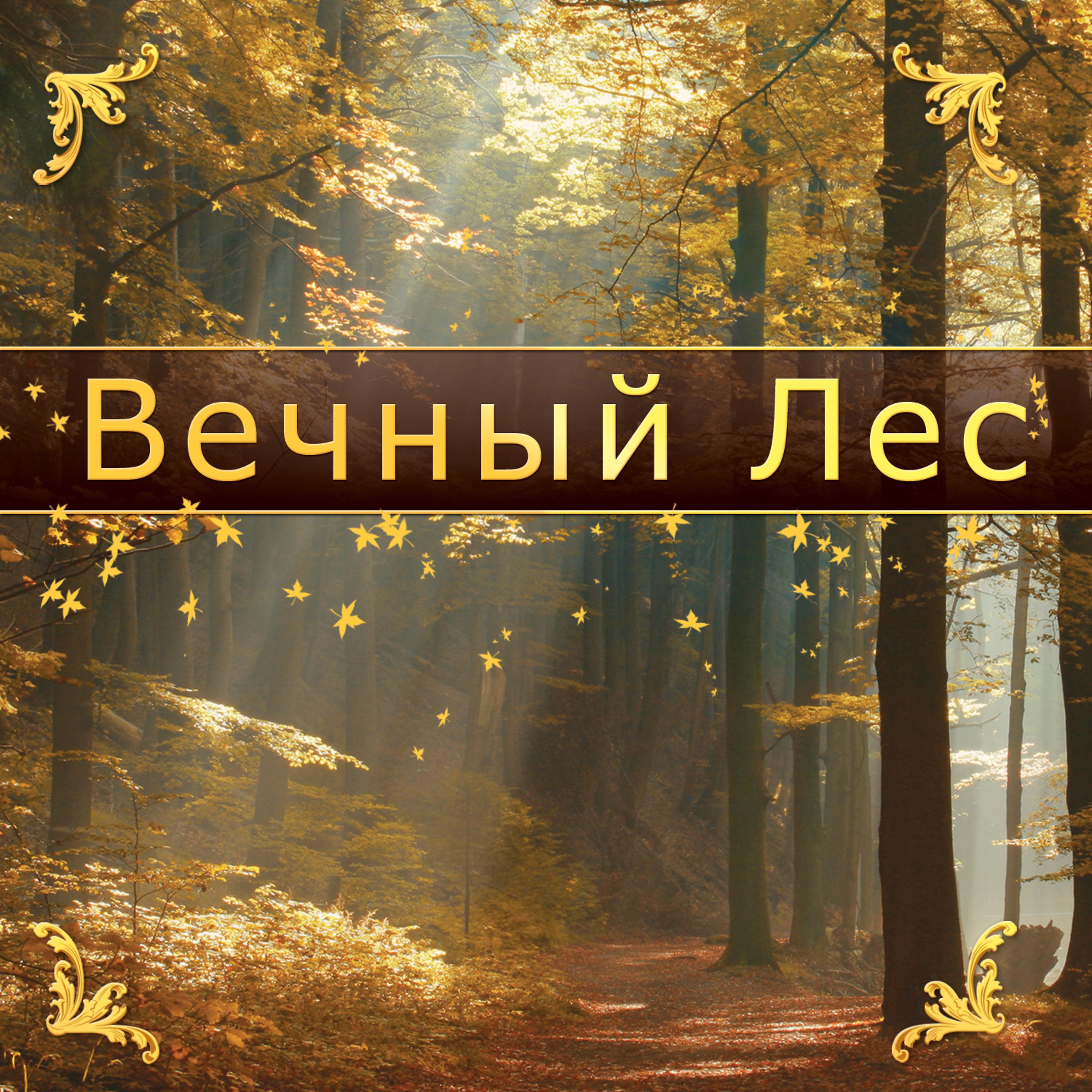 Постер альбома Вечный Лес