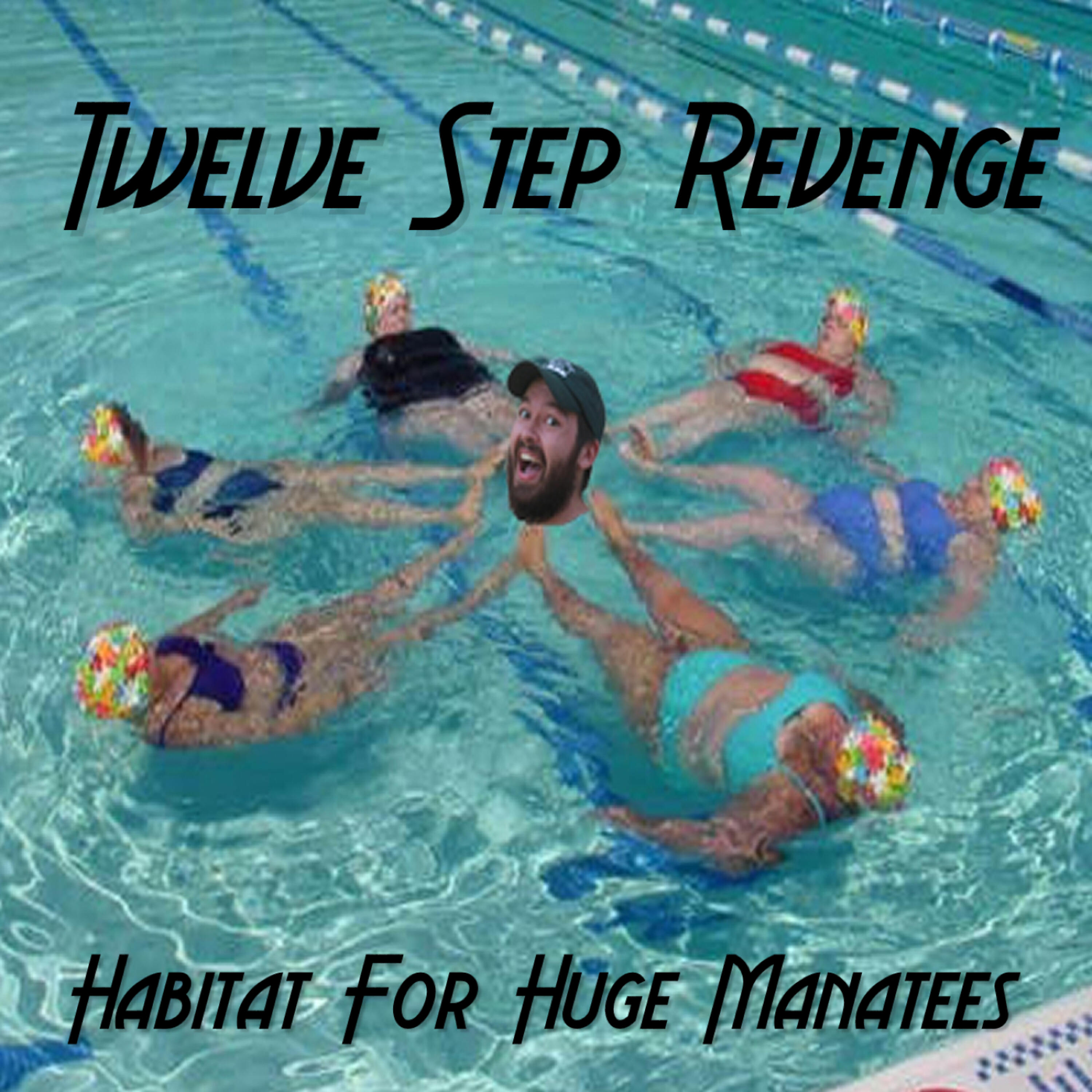 Twelve Step Revenge - Liberal Lie