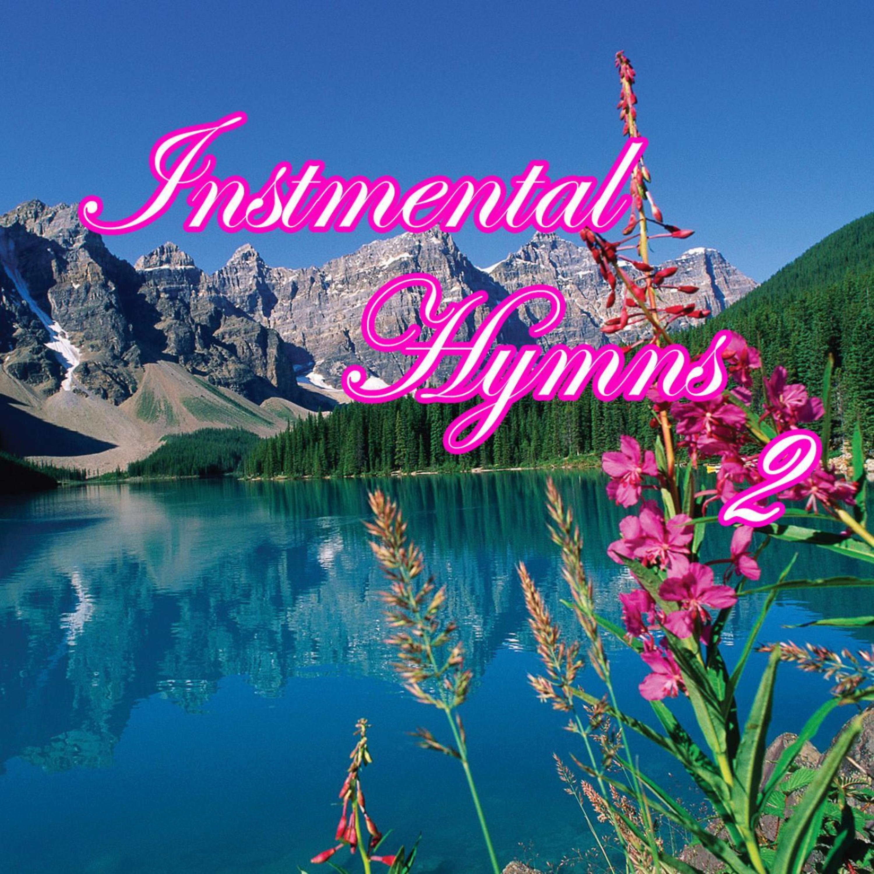 Постер альбома INSTR Hymns 2