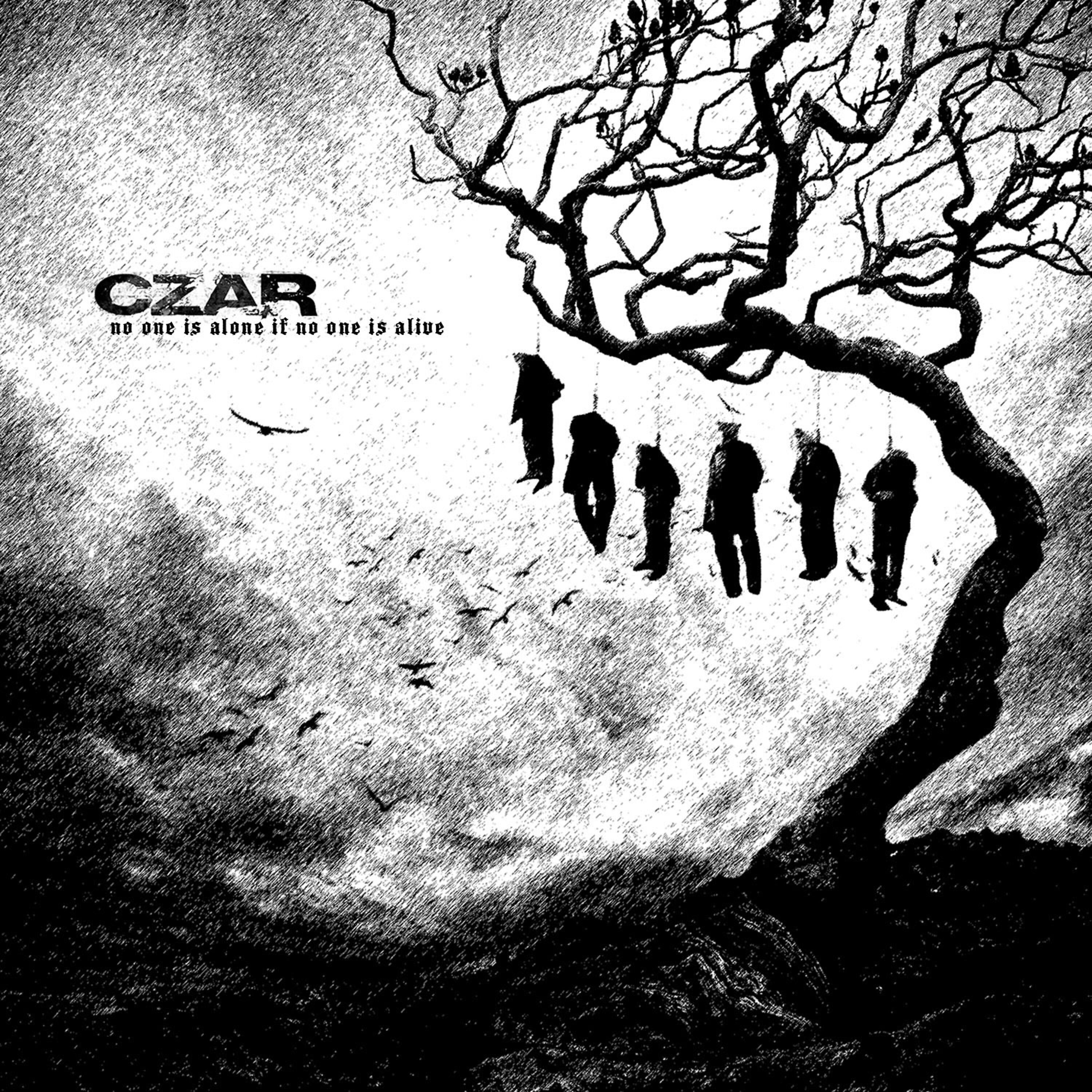 CZAR - Aortic Flower