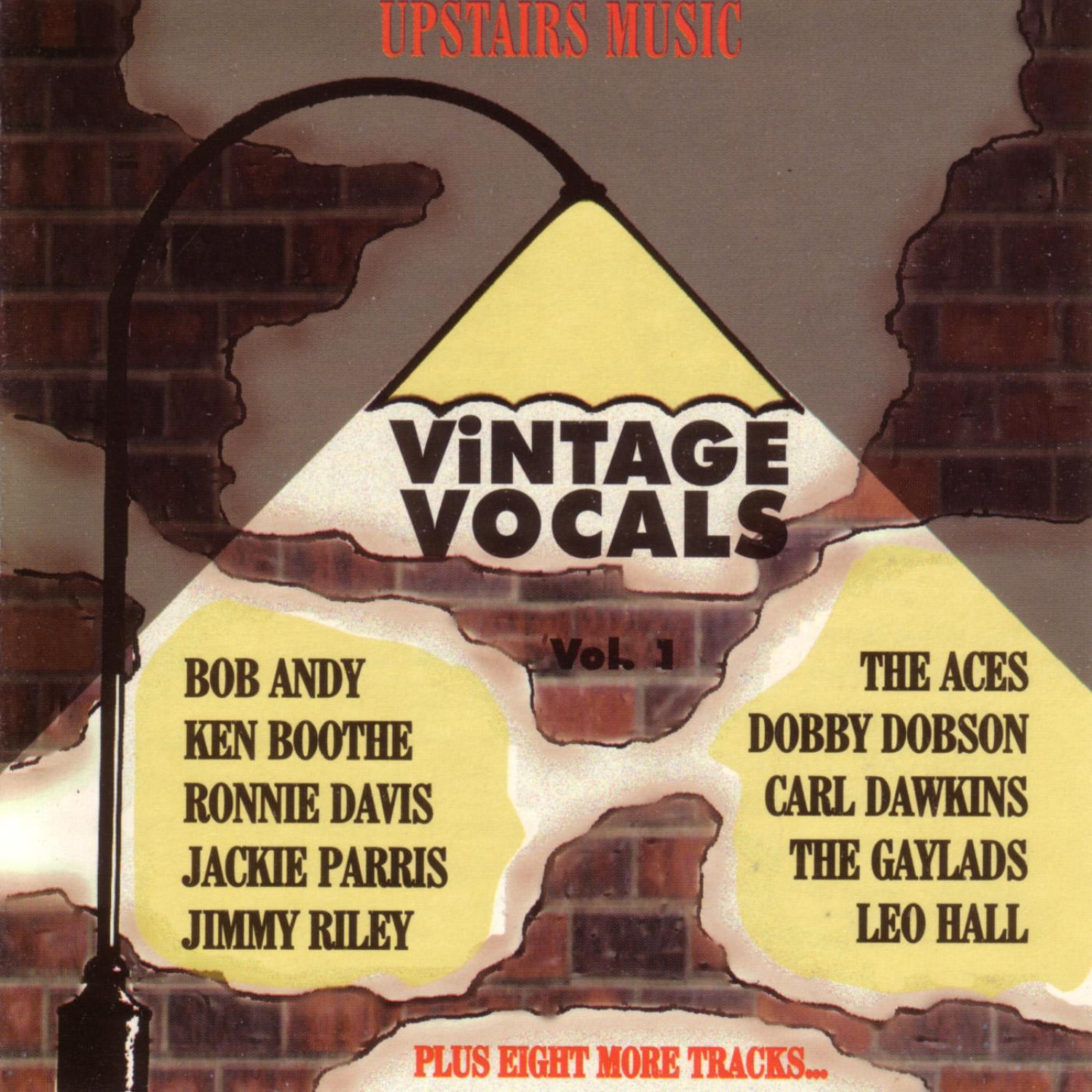 Постер альбома Vintage Vocals