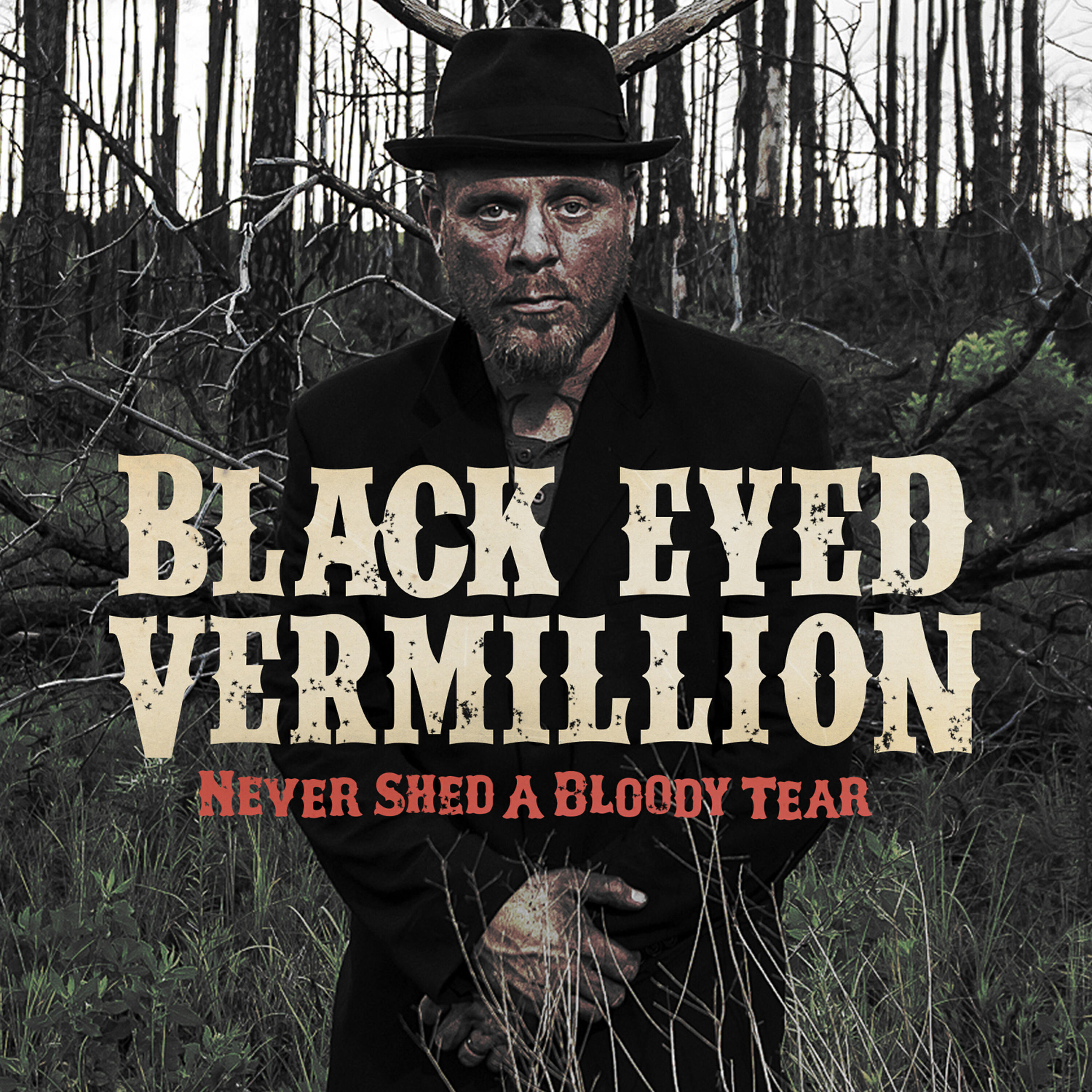 Black Eyed Vermillion - Box of Pine