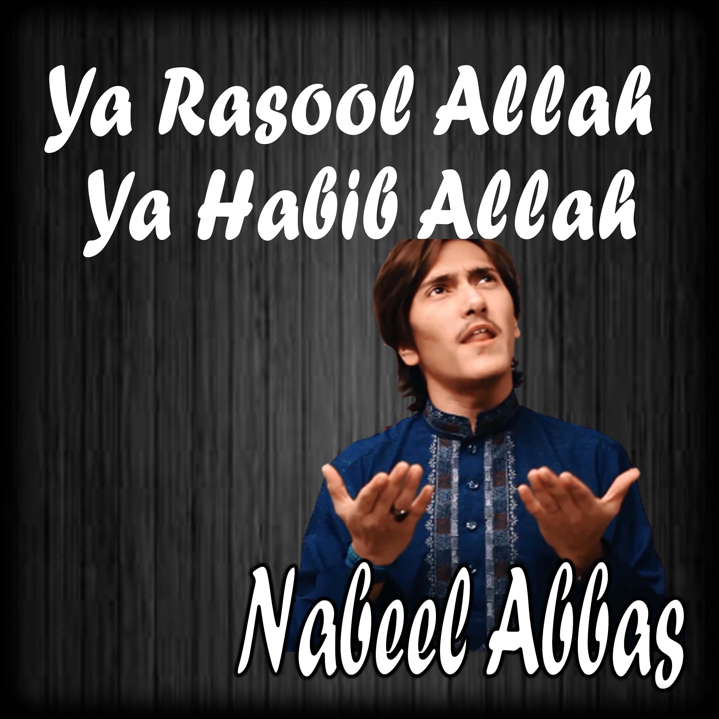Постер альбома Ya Rasool Allah Ya Habib Allah - Single