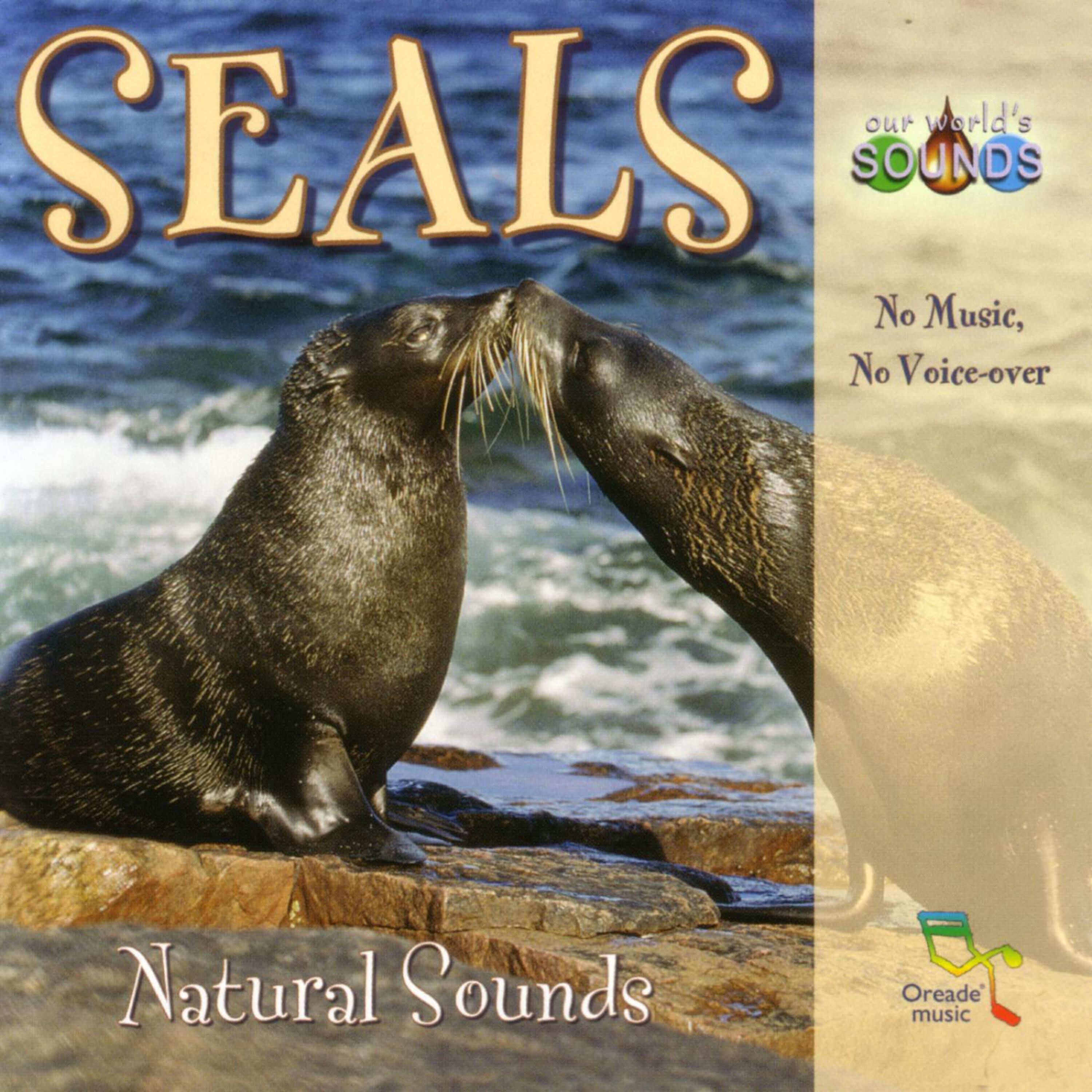 Our World's Sounds - A passing dolphin chirps. Seals call in the background from their island.