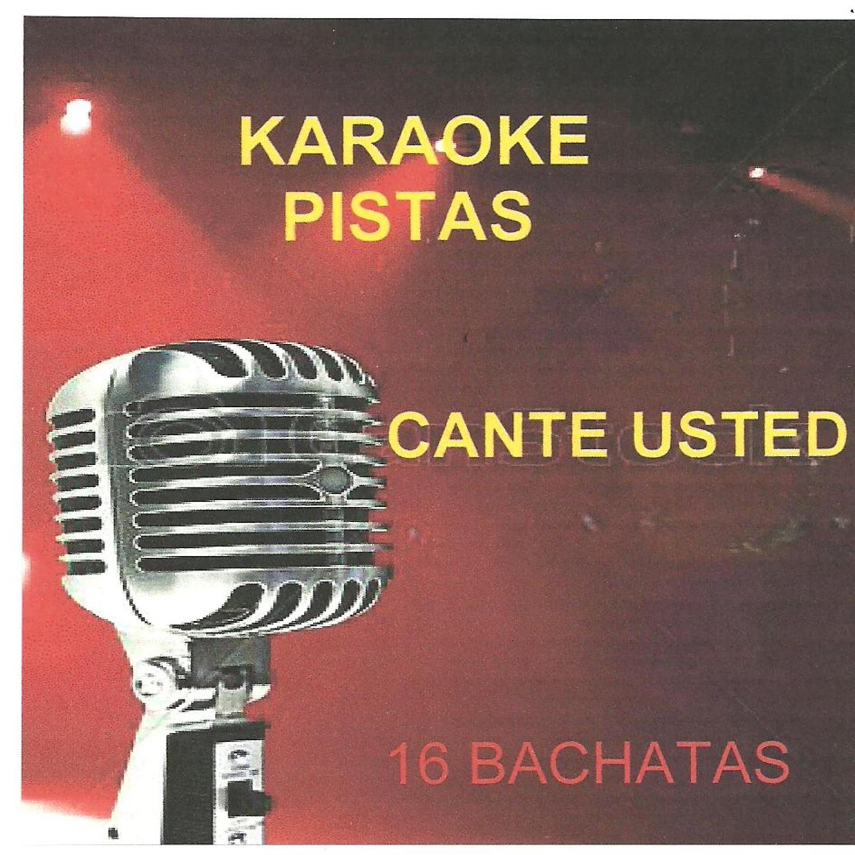 Постер альбома Karaoke: 16 Bachatas