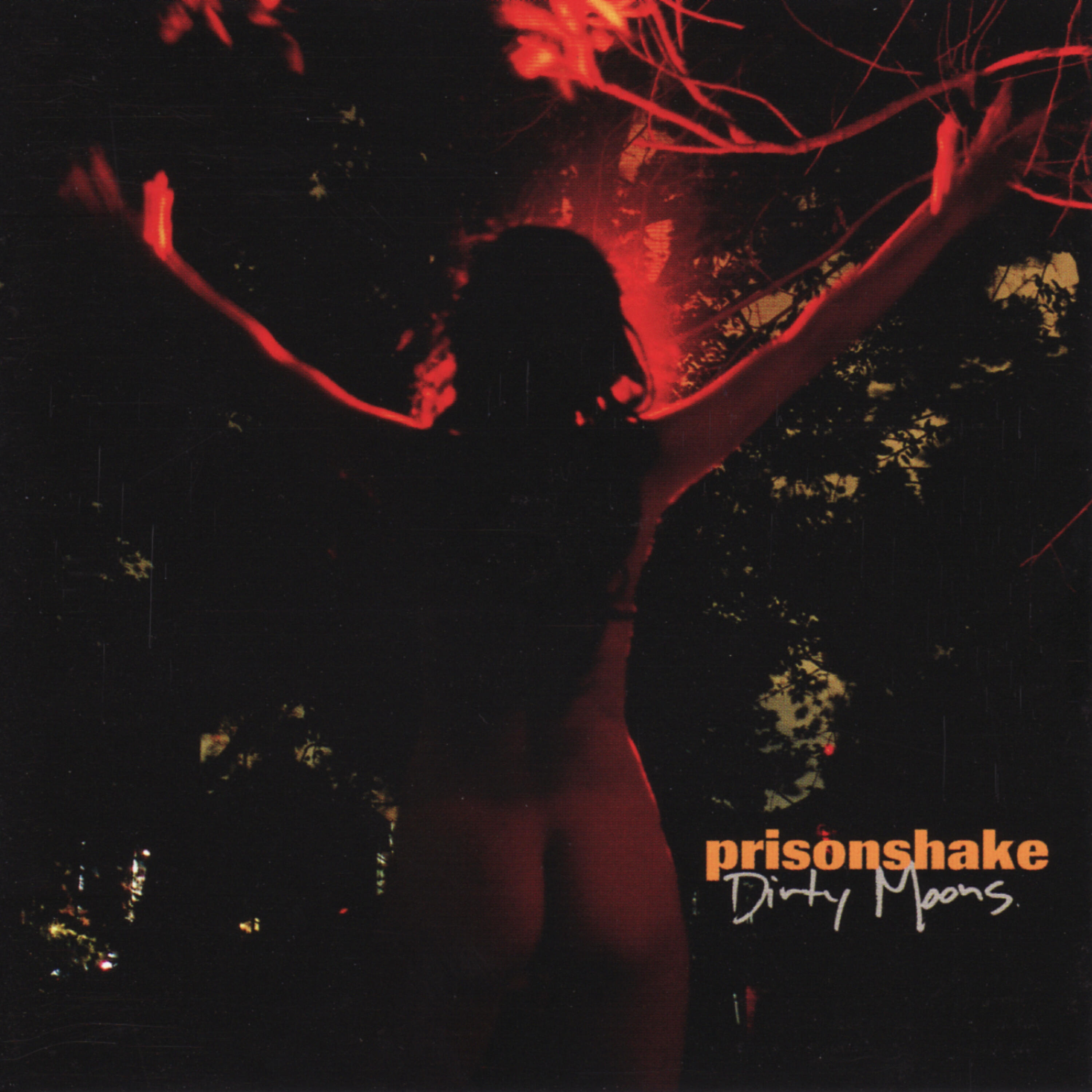 Prisonshake - Year of the Donk (Including The Leftover Monkey)