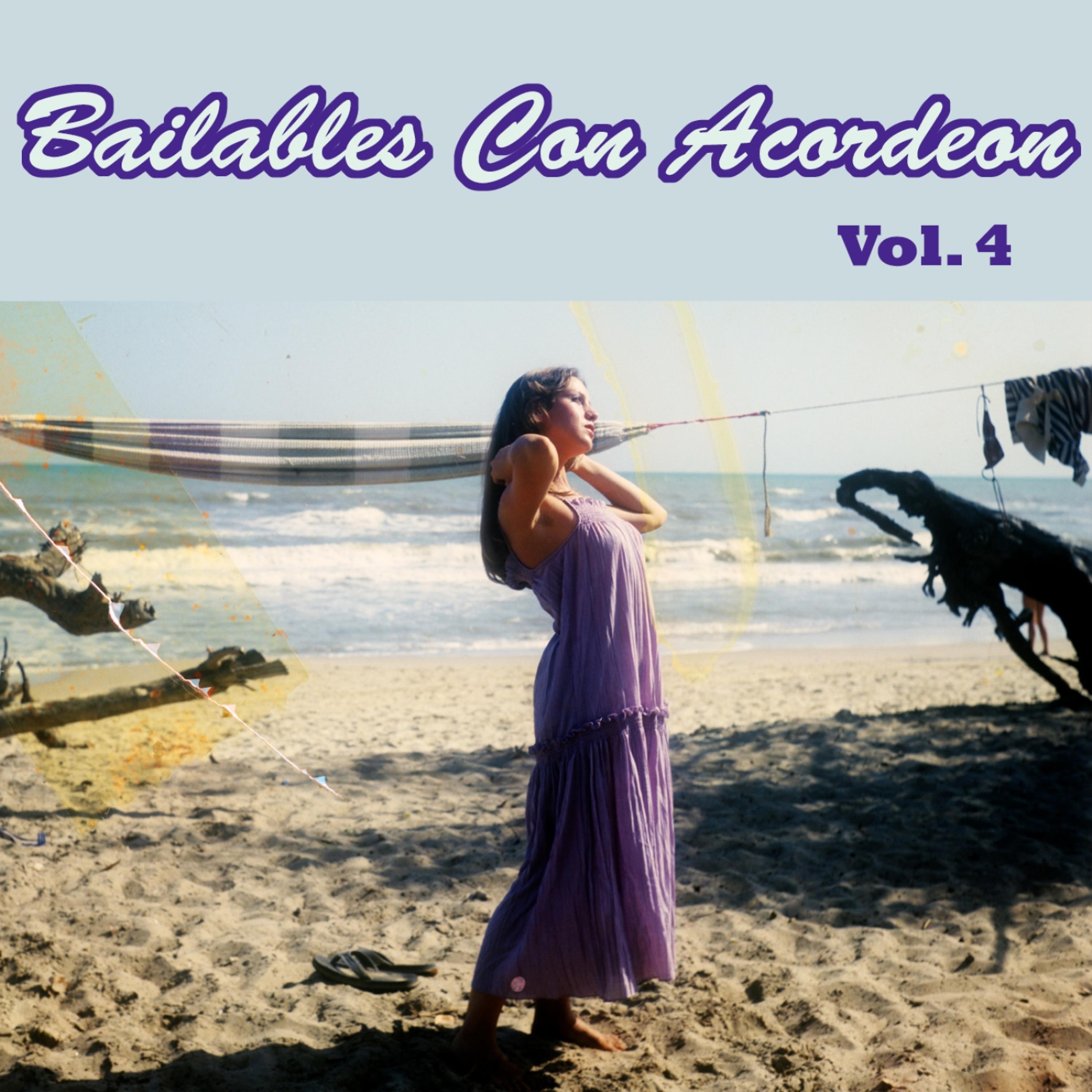 Постер альбома Bailables Con Acordeon Vol. 4
