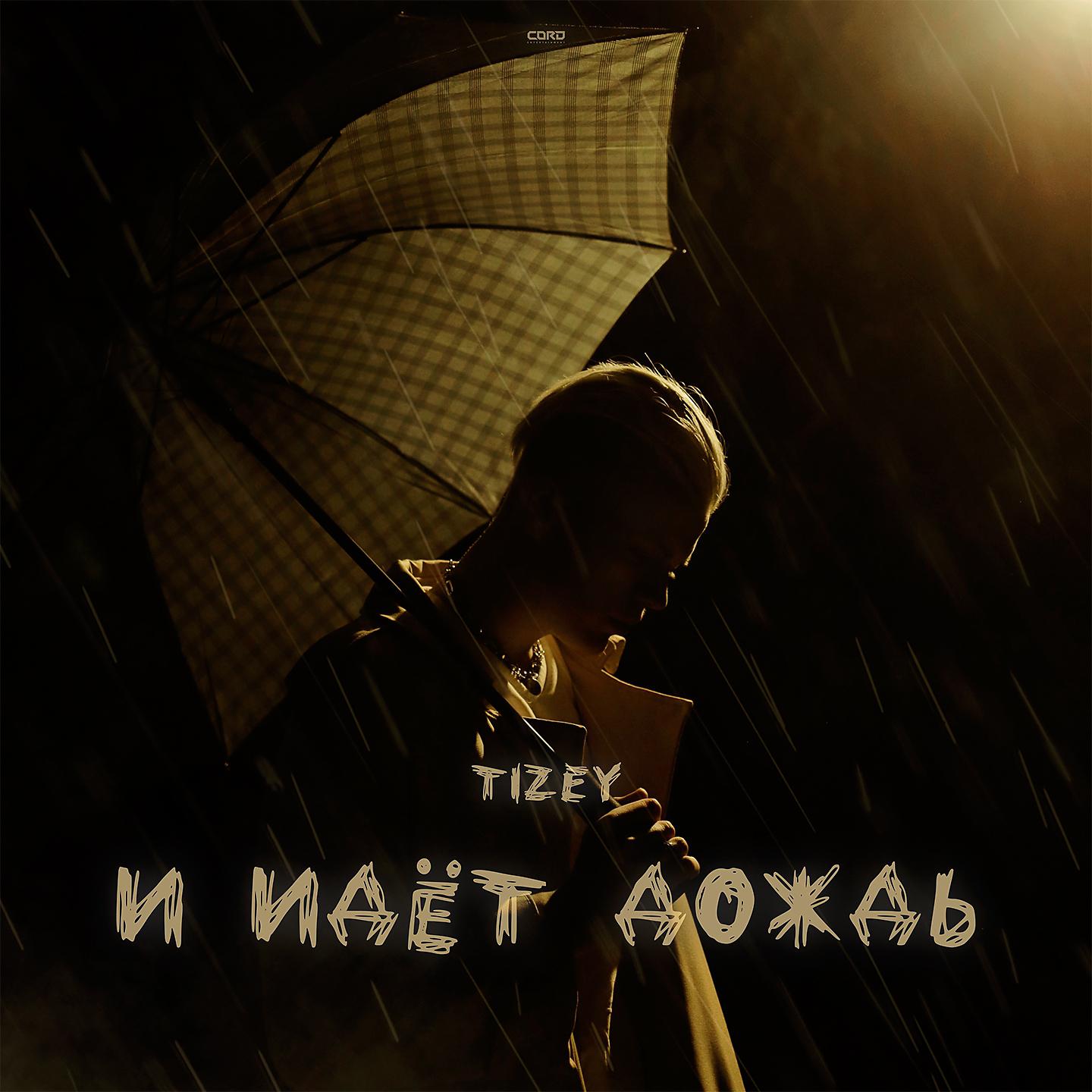 Постер альбома И идёт дождь