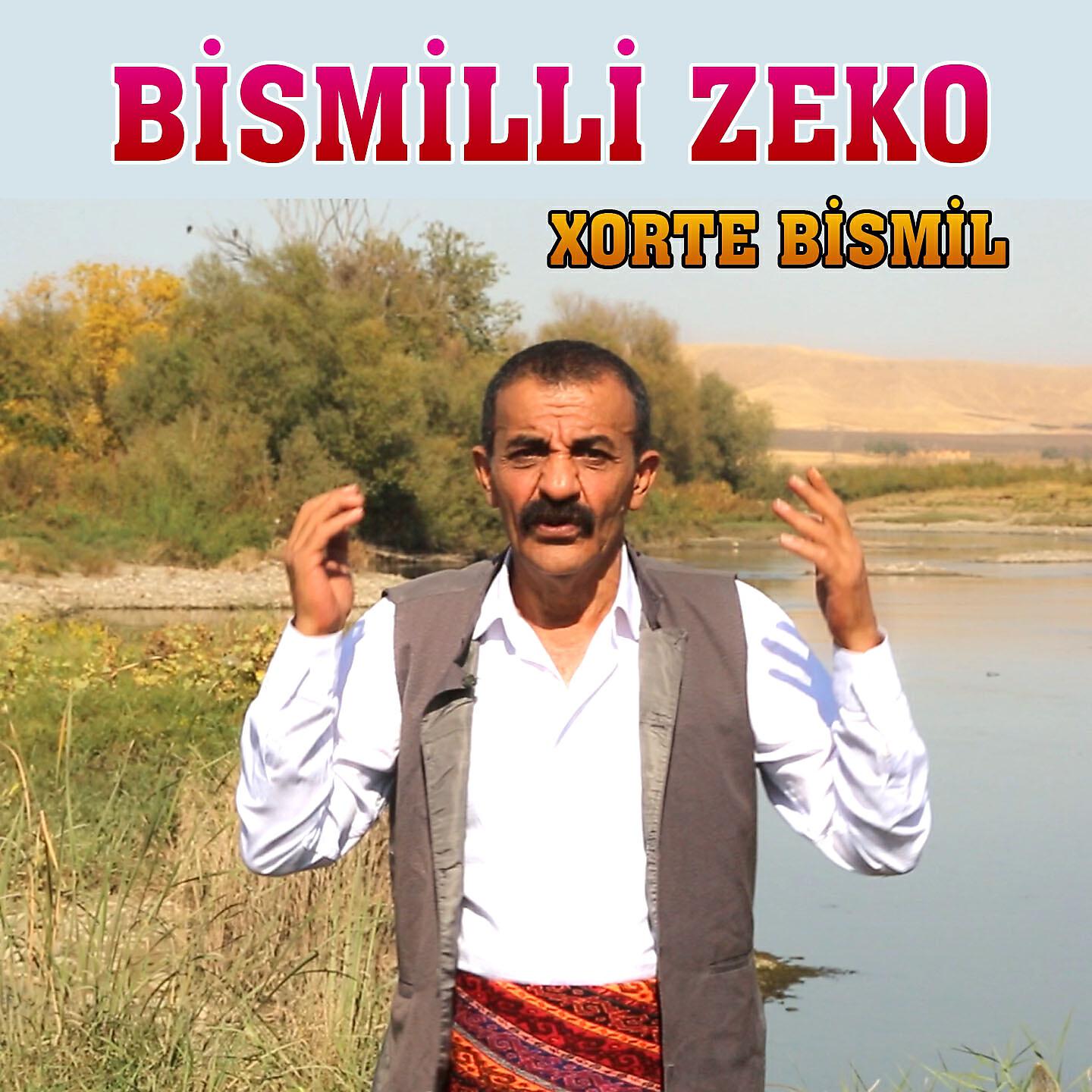 Bismilli Zeko - Ağır Delilo