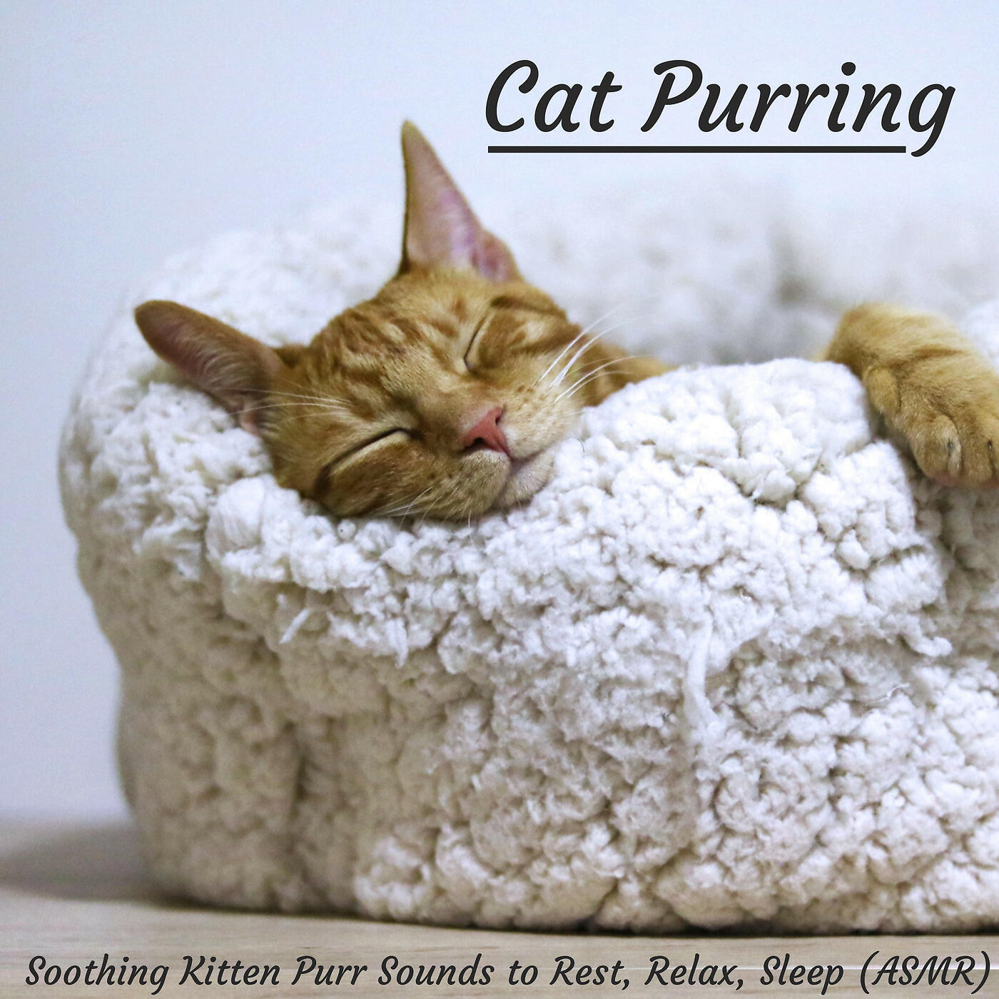 SleepTherapy - Deep Loving Purring Kitty Cat to Rest, Relax, Calm