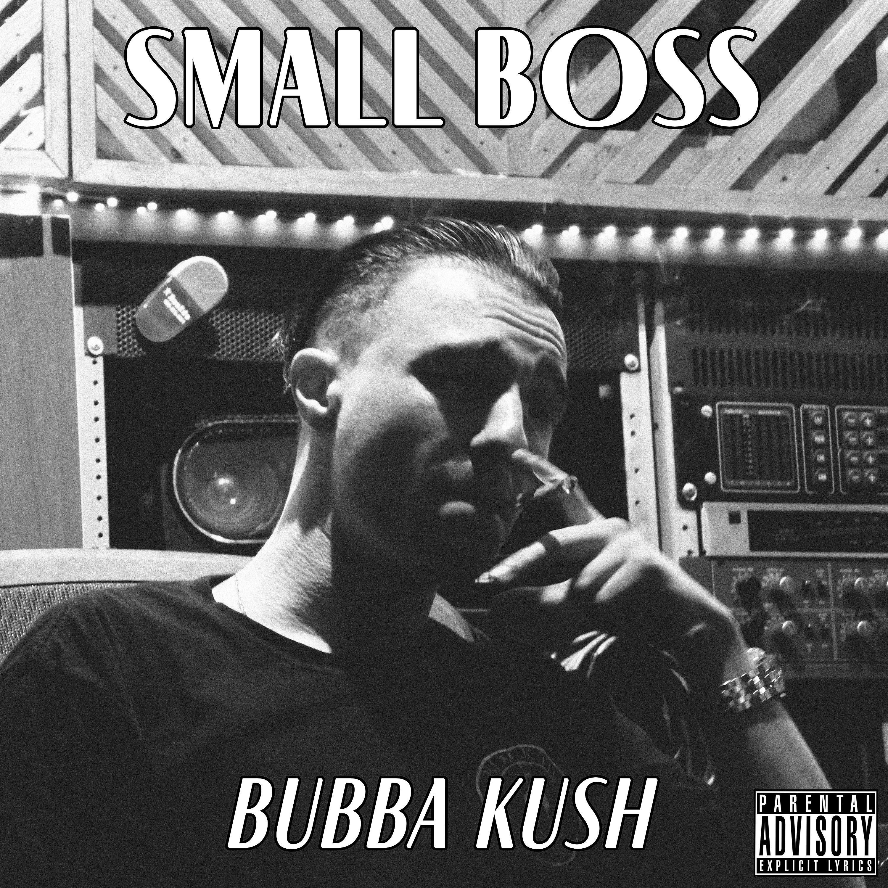 Постер альбома Bubba Kush