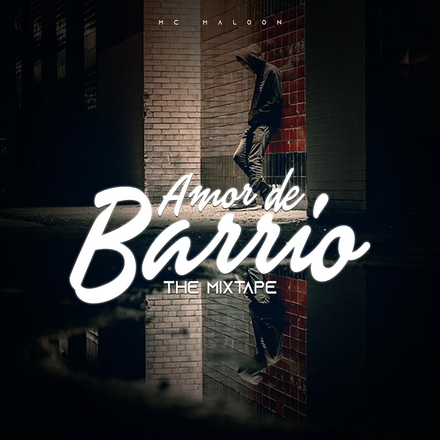 Постер альбома Amor de Barrio
