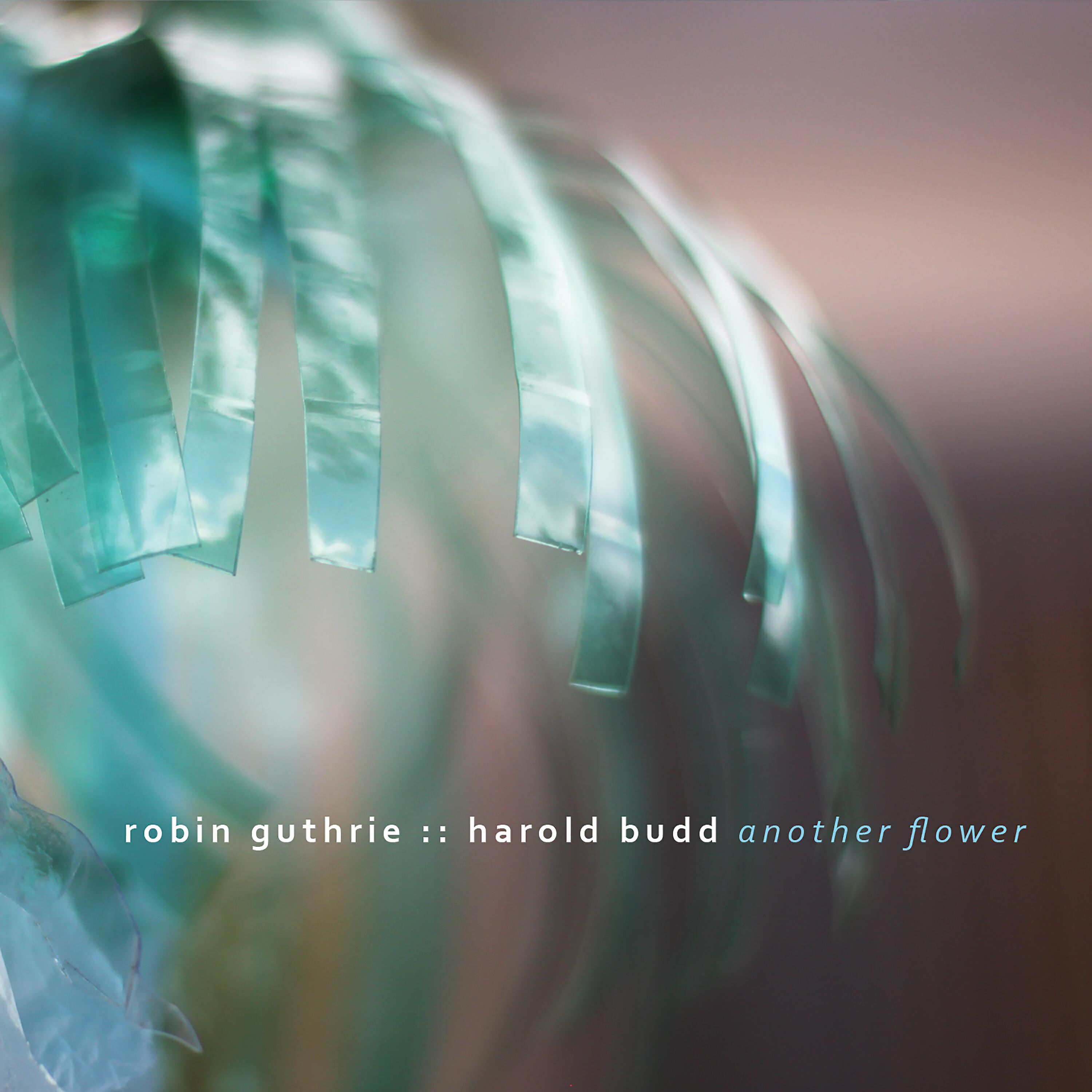 Robin Guthrie - Coral